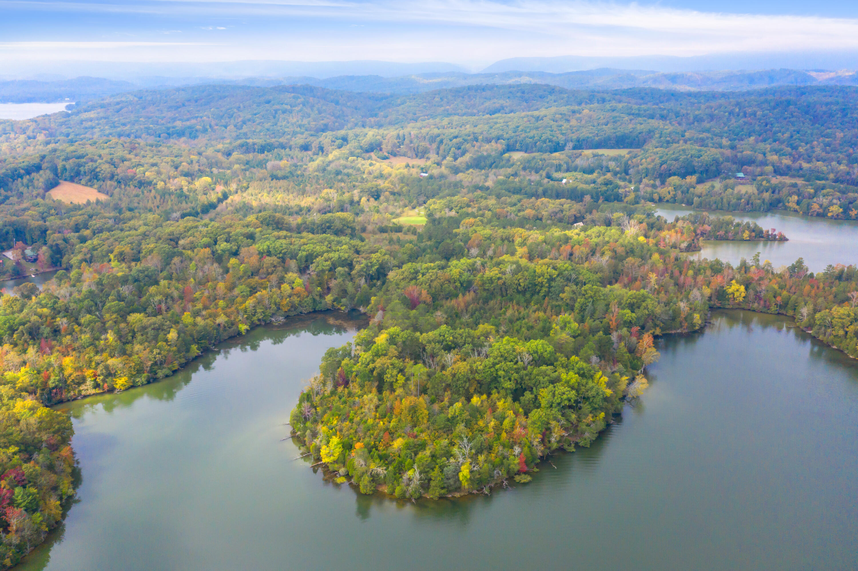 Rodgers Lane, Rockwood, Tennessee image 8