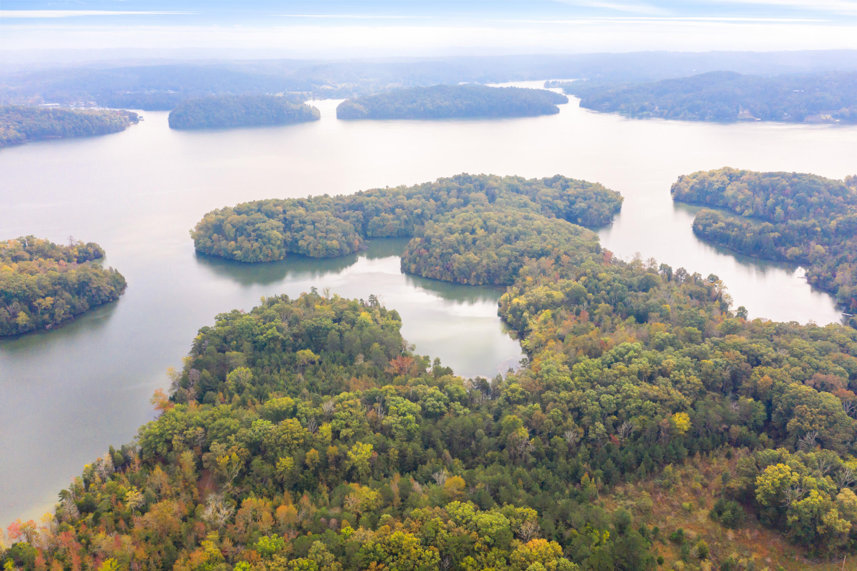 Rodgers Lane, Rockwood, Tennessee image 16