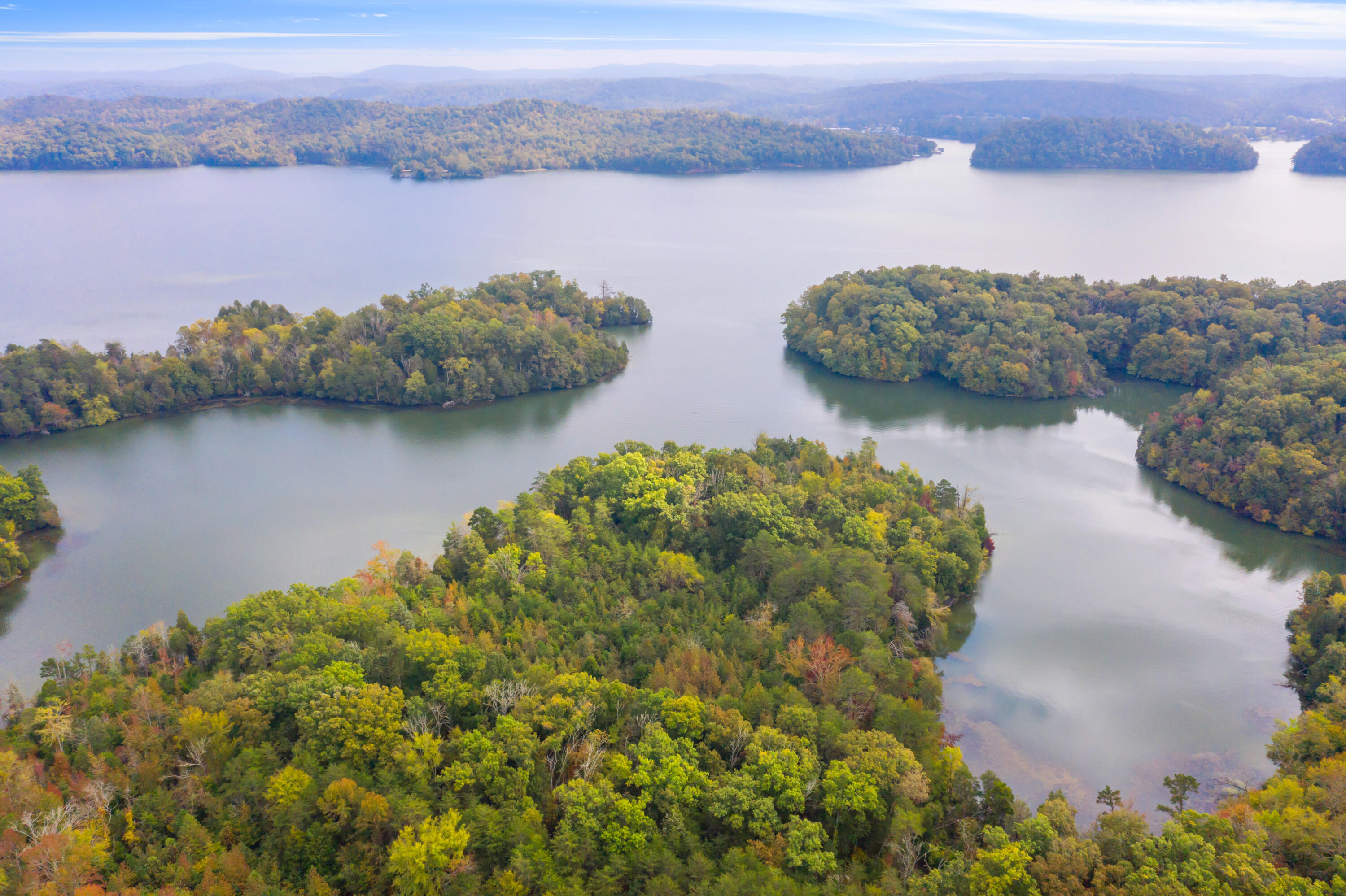 Rodgers Lane, Rockwood, Tennessee image 15