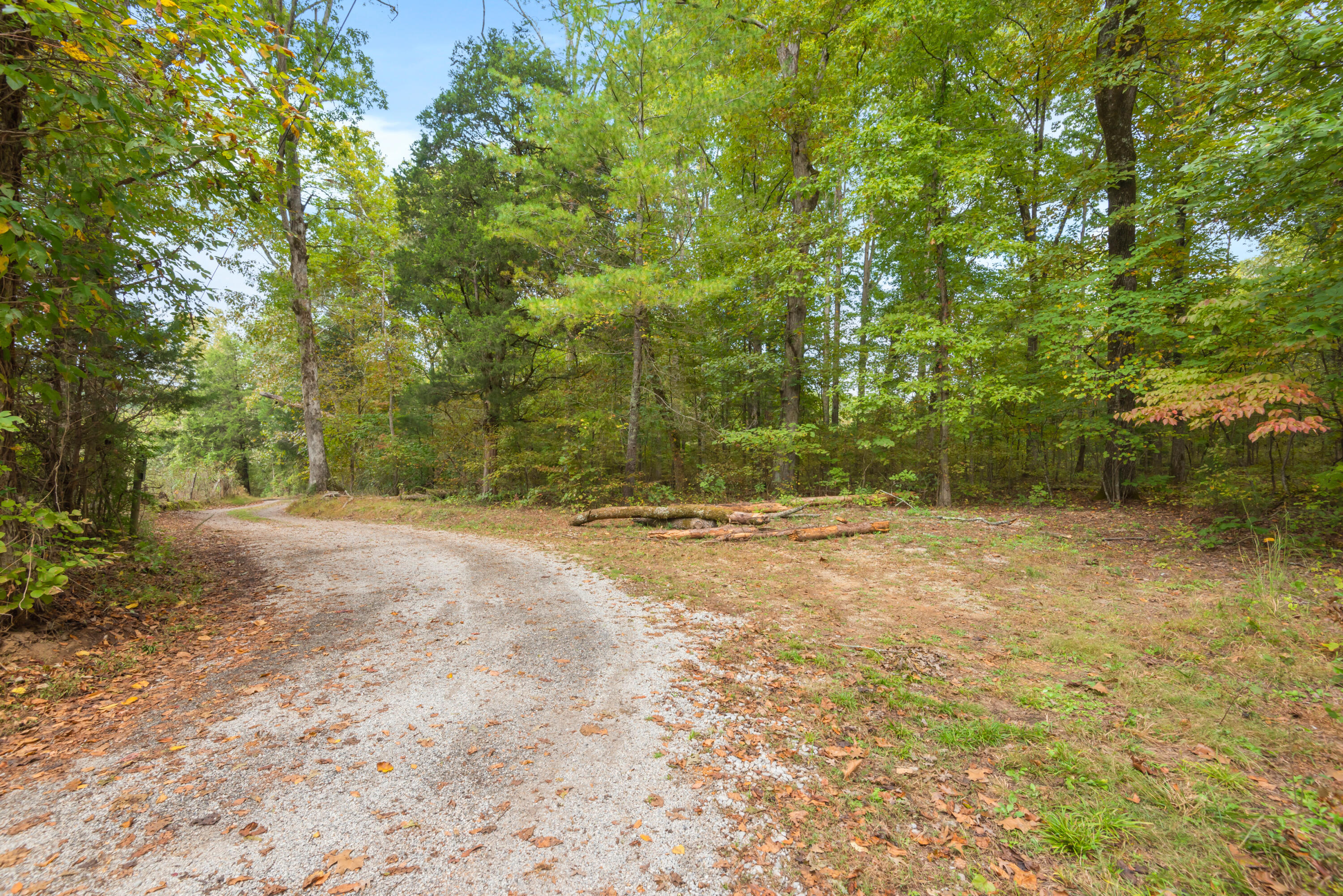 Rodgers Lane, Rockwood, Tennessee image 22