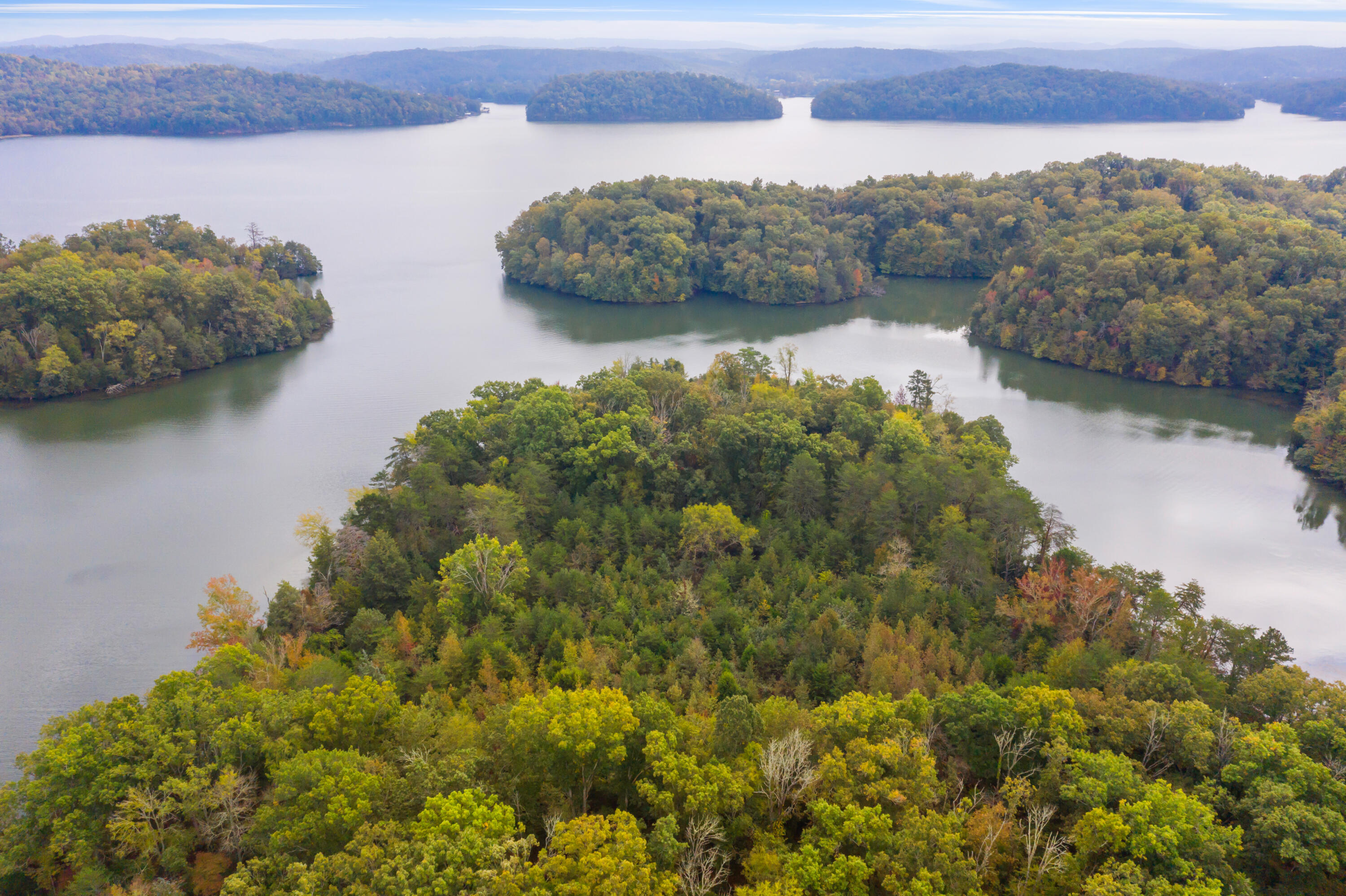 Rodgers Lane, Rockwood, Tennessee image 19