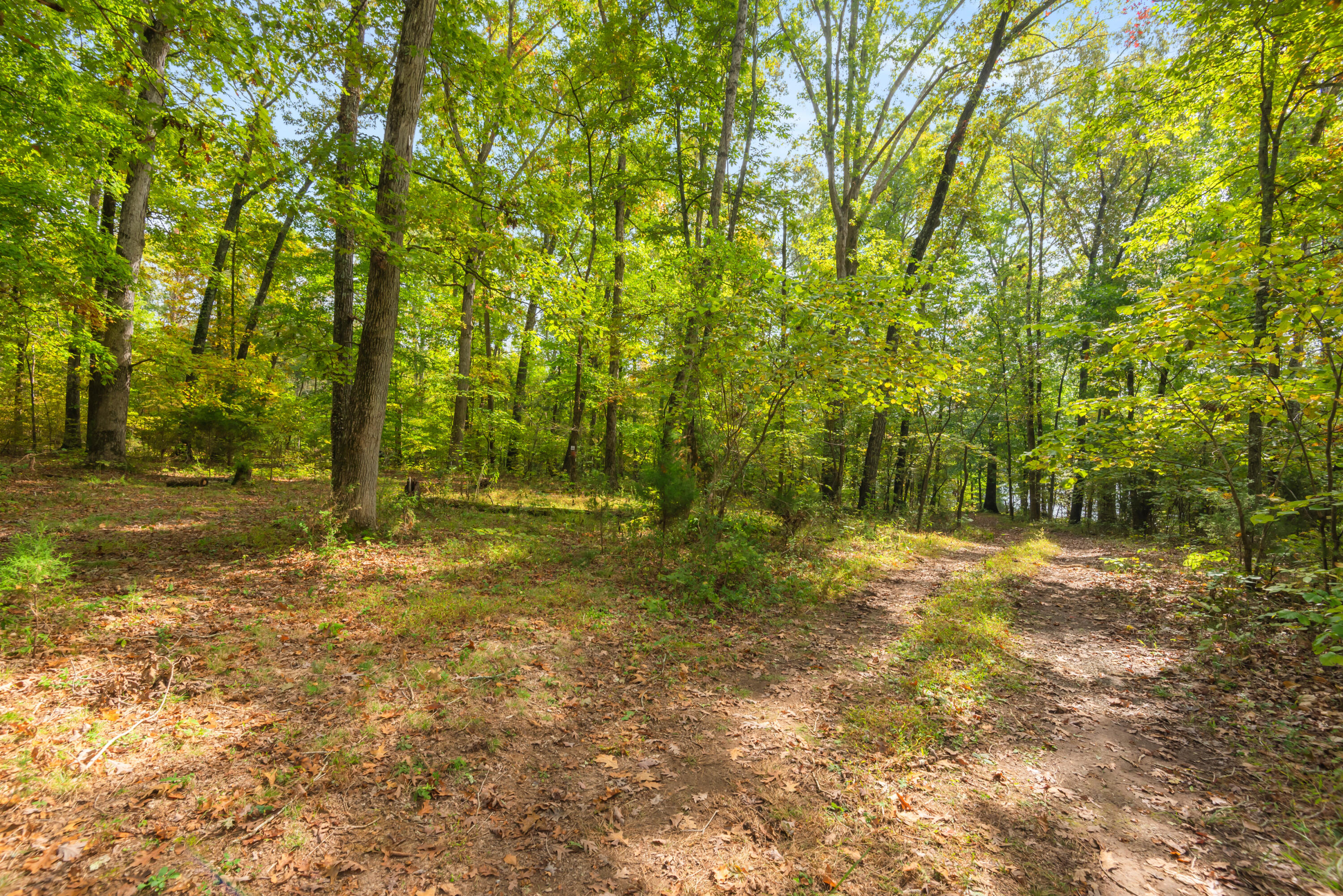 Rodgers Lane, Rockwood, Tennessee image 23