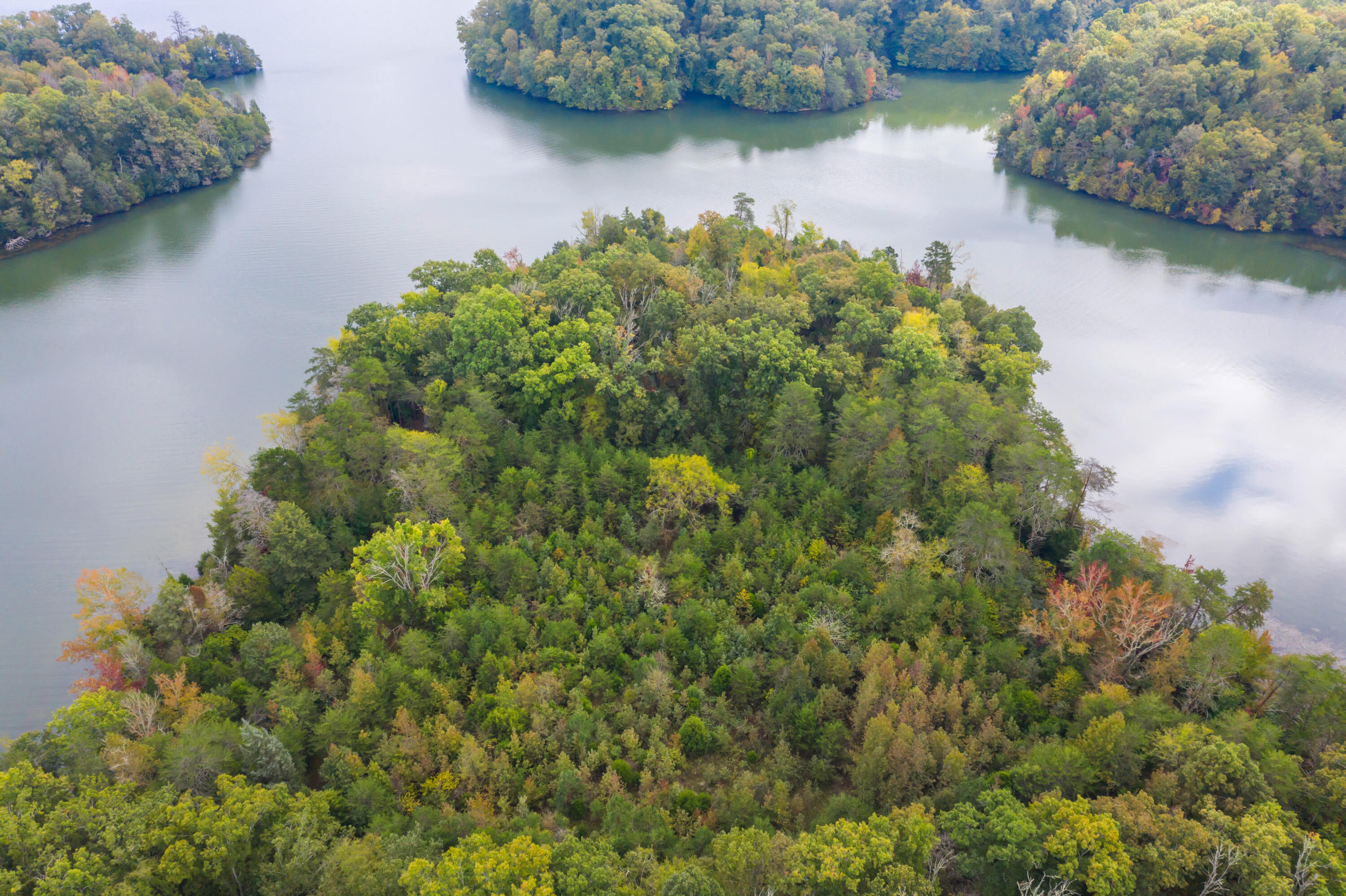 Rodgers Lane, Rockwood, Tennessee image 18