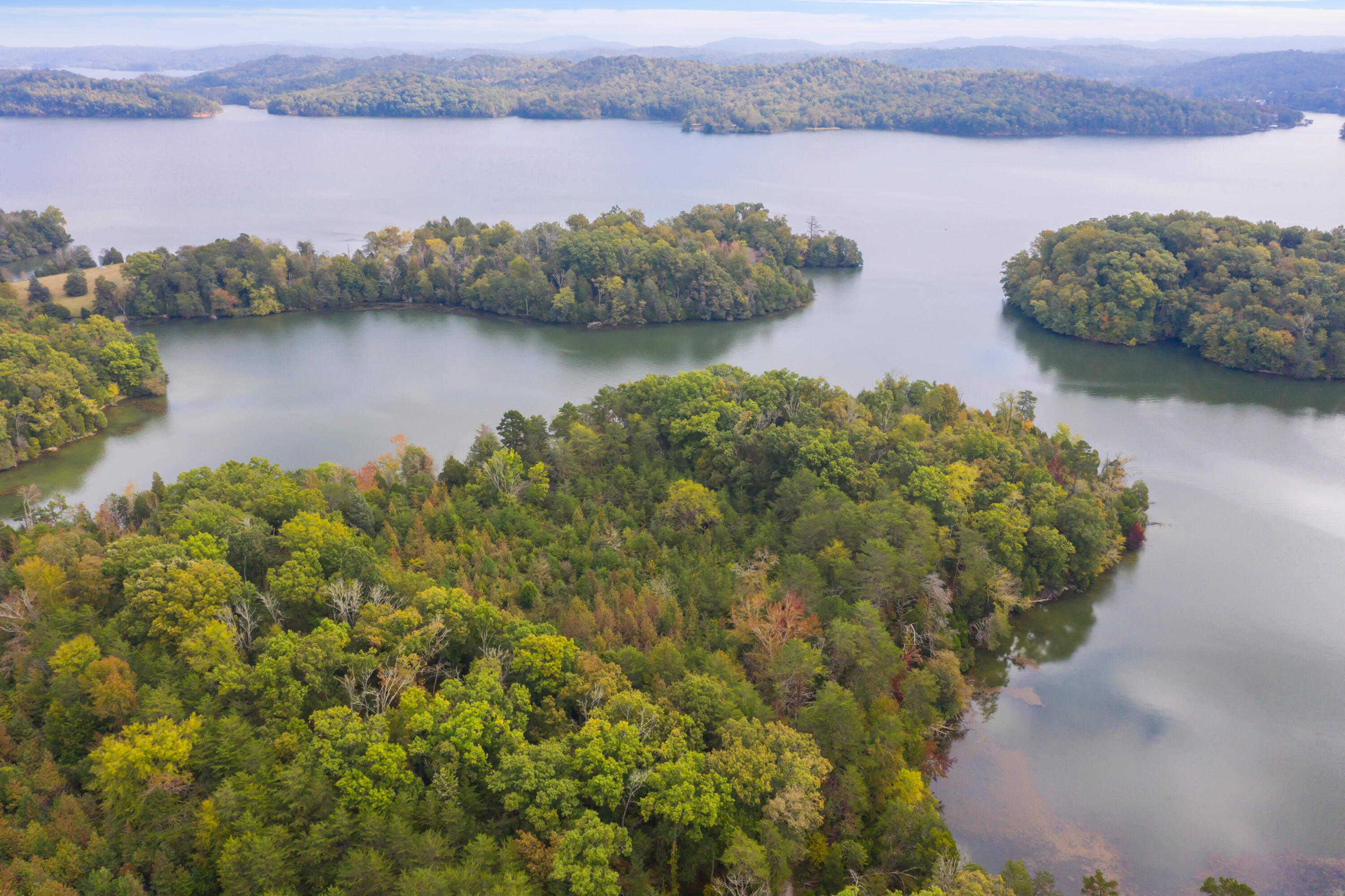 Rodgers Lane, Rockwood, Tennessee image 17