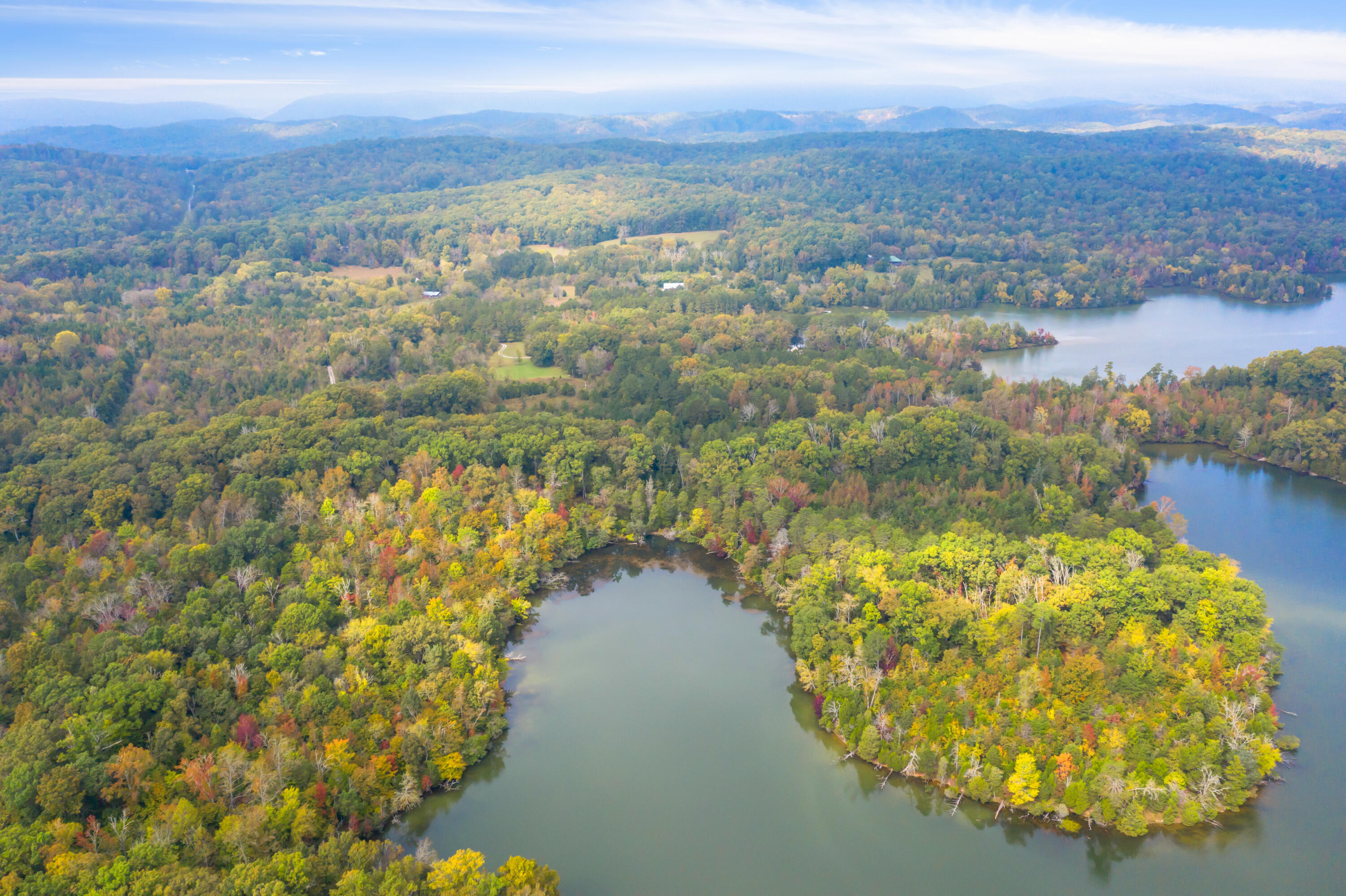 Rodgers Lane, Rockwood, Tennessee image 10