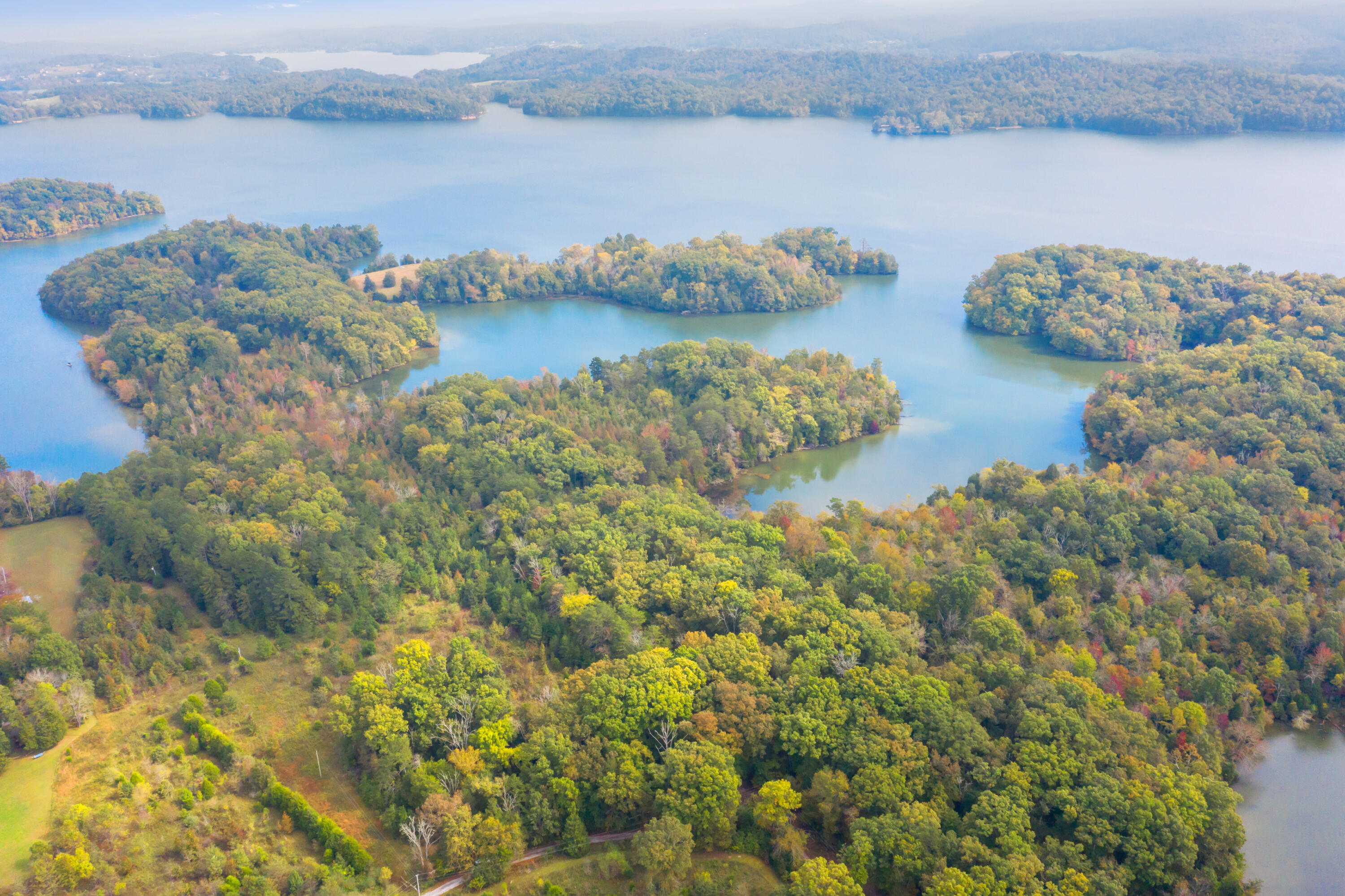 Rodgers Lane, Rockwood, Tennessee image 2