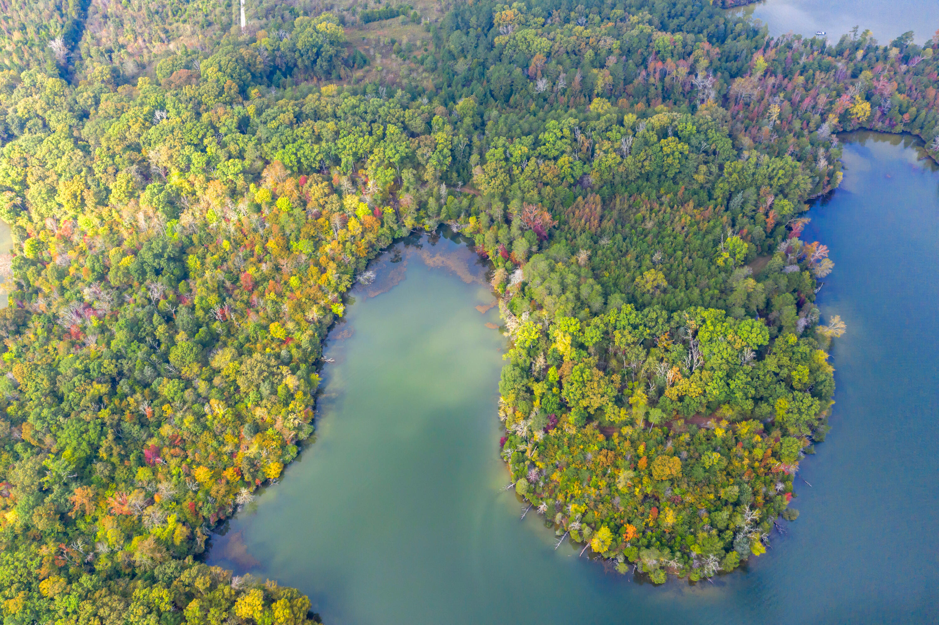 Rodgers Lane, Rockwood, Tennessee image 11