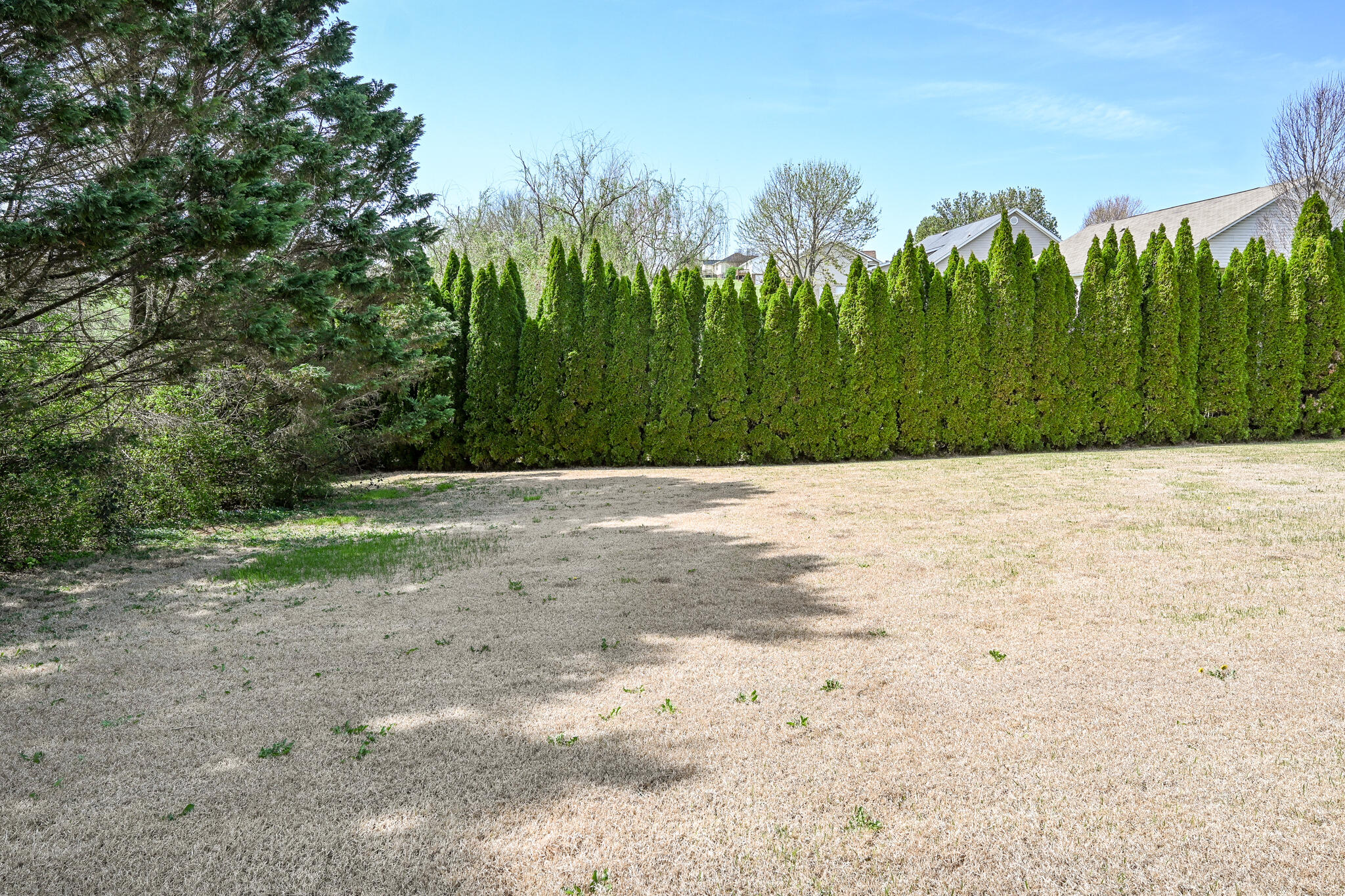 202 Mulberry Lane, Cleveland, Tennessee image 11