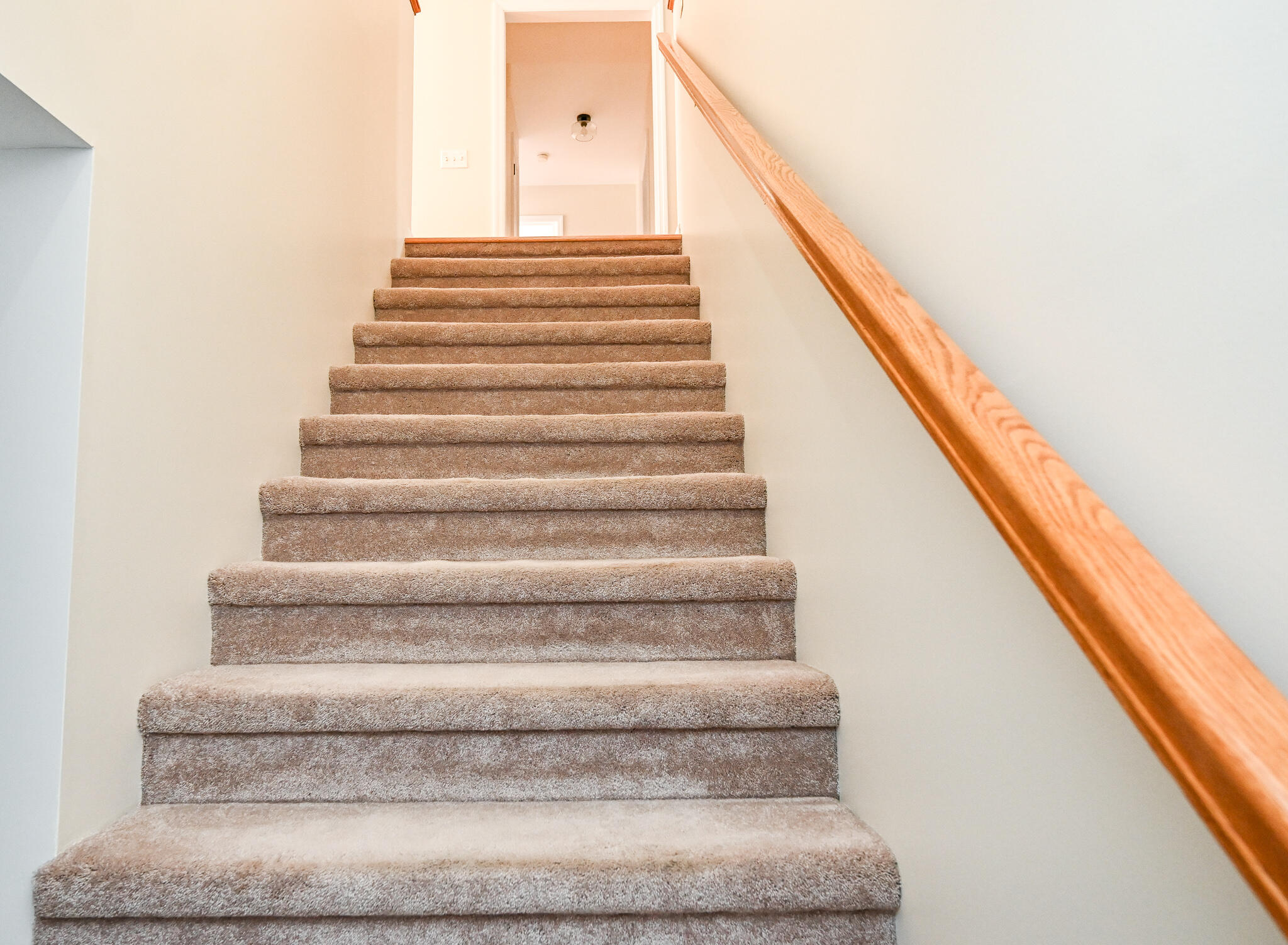 202 Mulberry Lane, Cleveland, Tennessee image 37