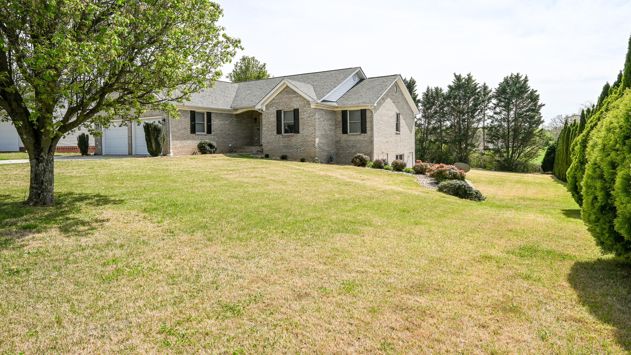 202 Mulberry Lane, Cleveland, Tennessee image 3