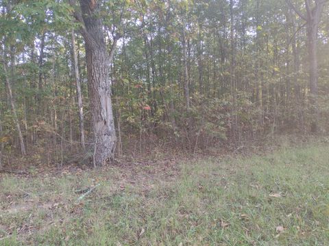 Photo of 00 Gray Rock View #111, Pikeville, TN 37367 (MLS # 1501835)