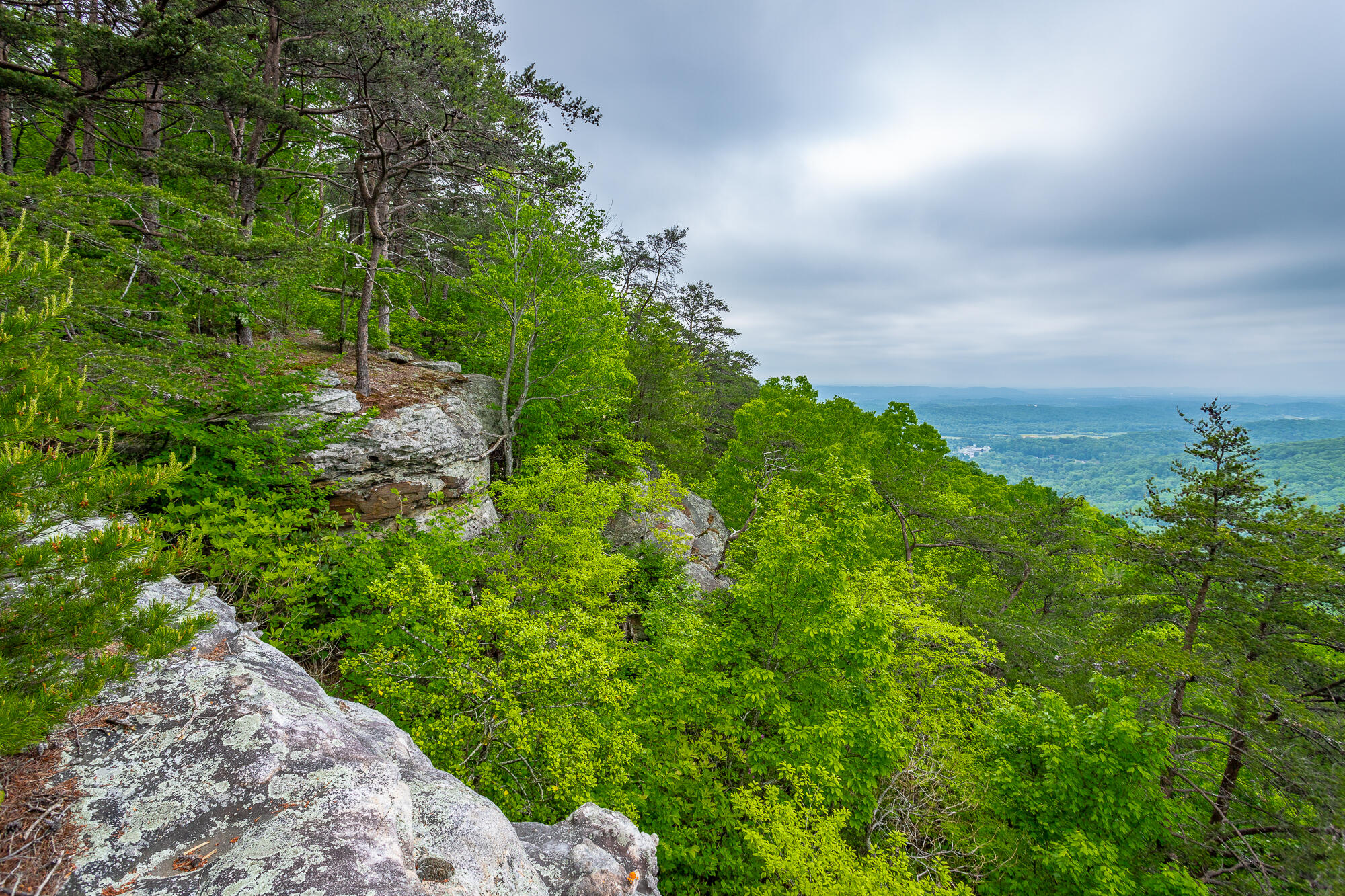 926 Montlake Road, Soddy Daisy, Tennessee image 16