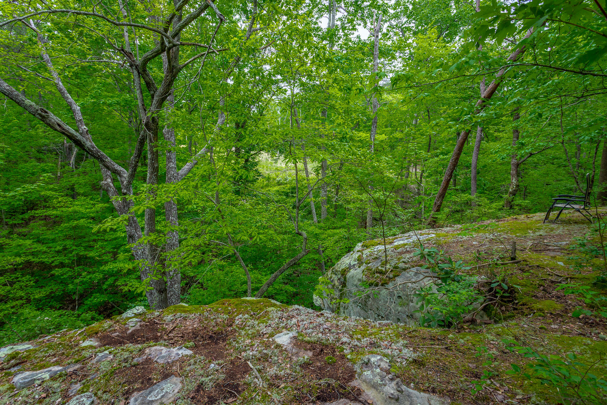 926 Montlake Road, Soddy Daisy, Tennessee image 18
