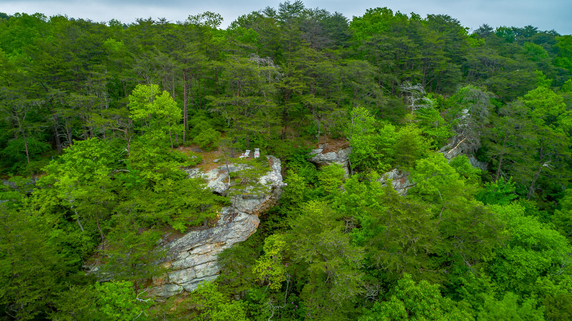 926 Montlake Road, Soddy Daisy, Tennessee image 31