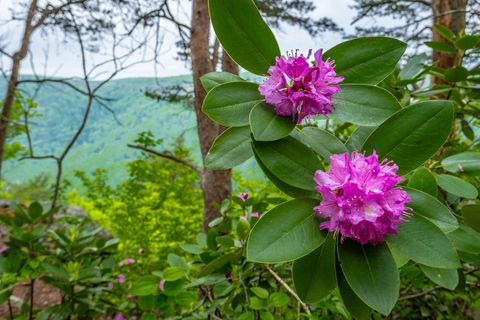 Tiny photo for 926 Montlake Road, Soddy Daisy, TN 37379 (MLS # 1514279)