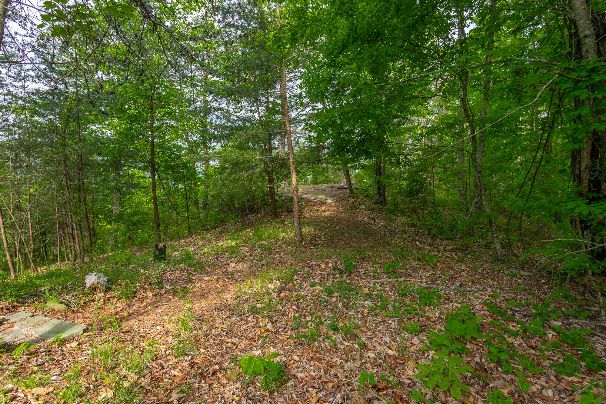 926 Montlake Road, Soddy Daisy, Tennessee image 4