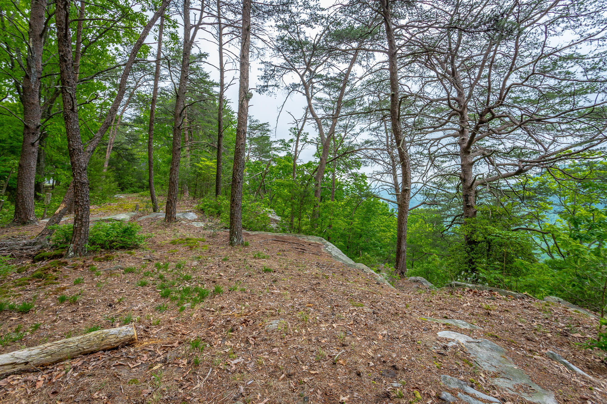 926 Montlake Road, Soddy Daisy, Tennessee image 24