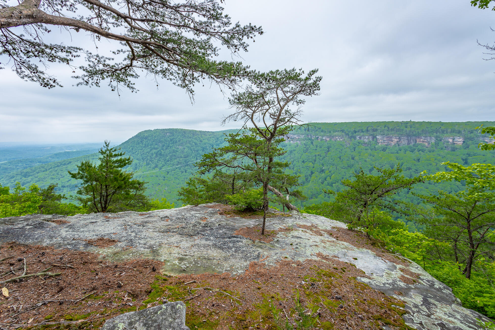 926 Montlake Road, Soddy Daisy, Tennessee image 17
