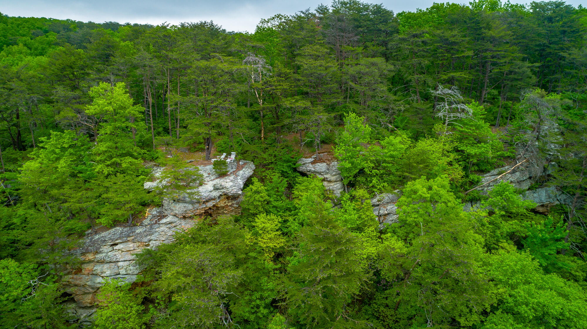 926 Montlake Road, Soddy Daisy, Tennessee image 32