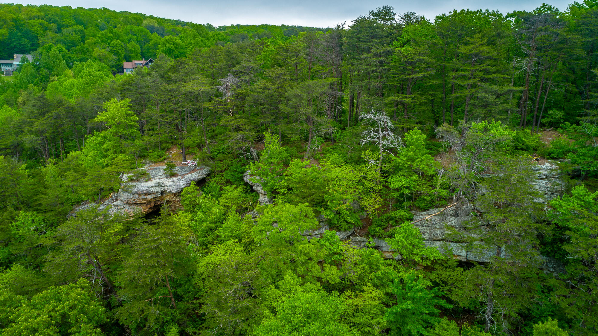 926 Montlake Road, Soddy Daisy, Tennessee image 33