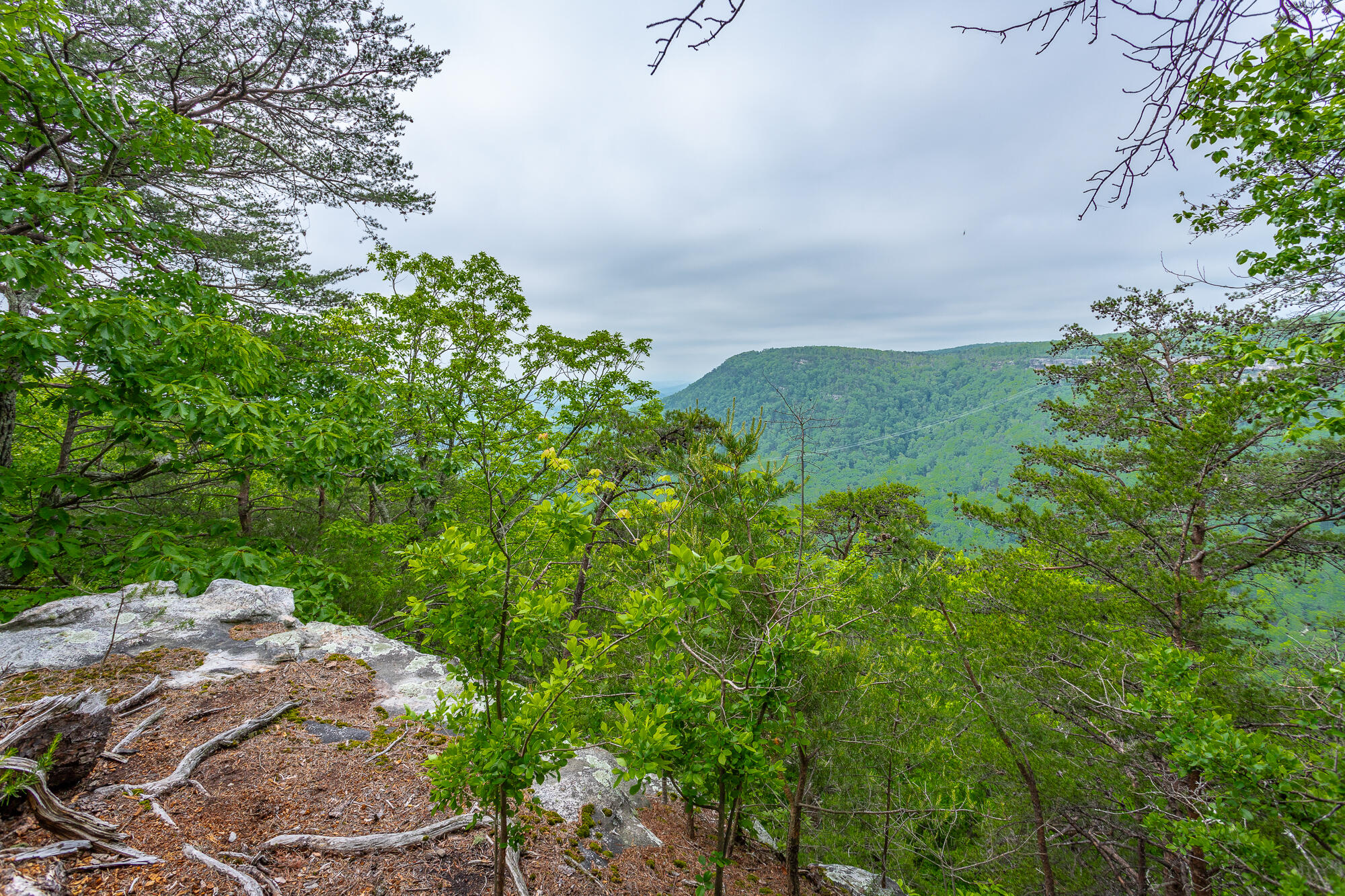 926 Montlake Road, Soddy Daisy, Tennessee image 10