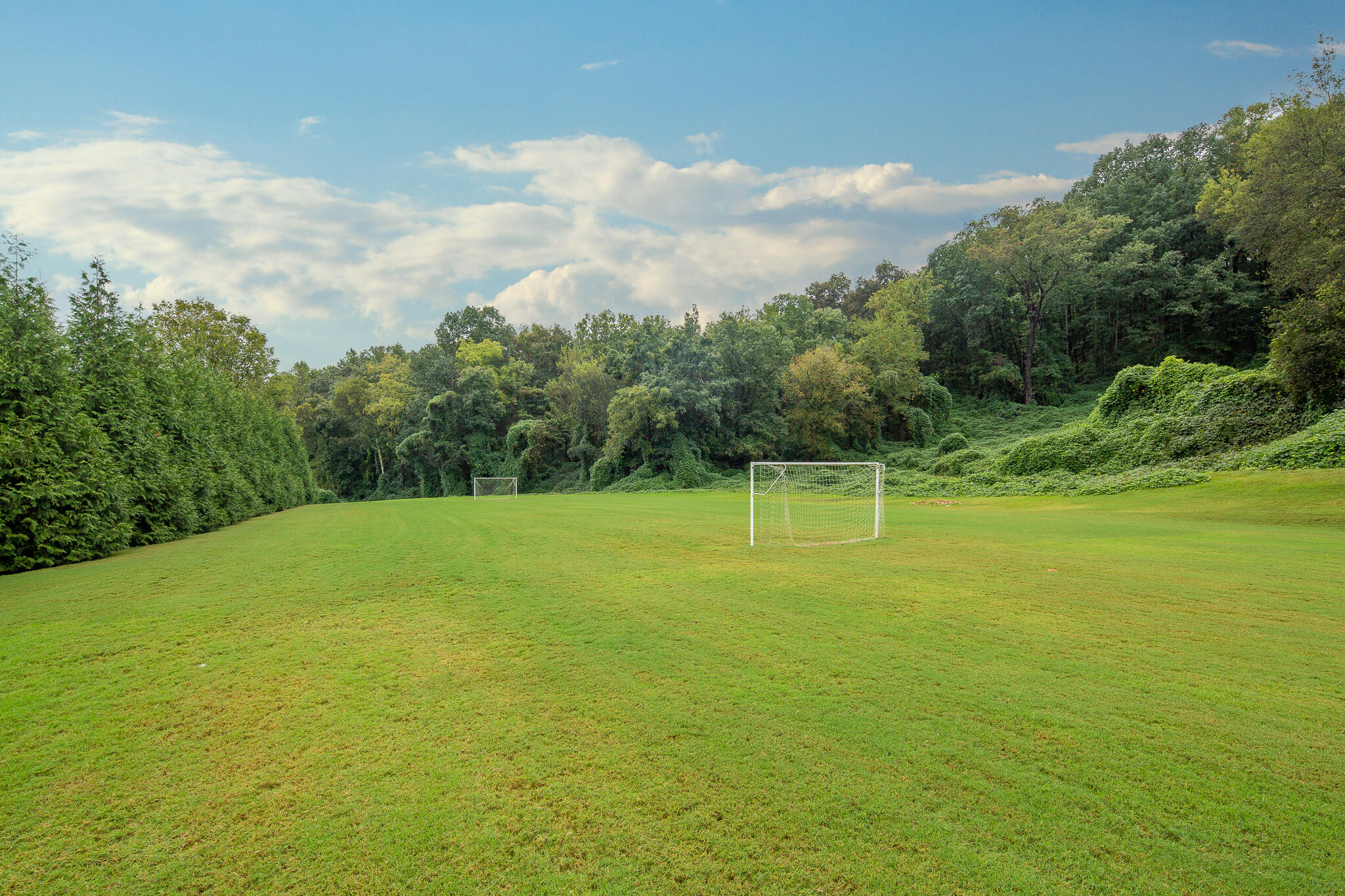 4831 Ravinia Lane #1423, Chattanooga, Tennessee image 11