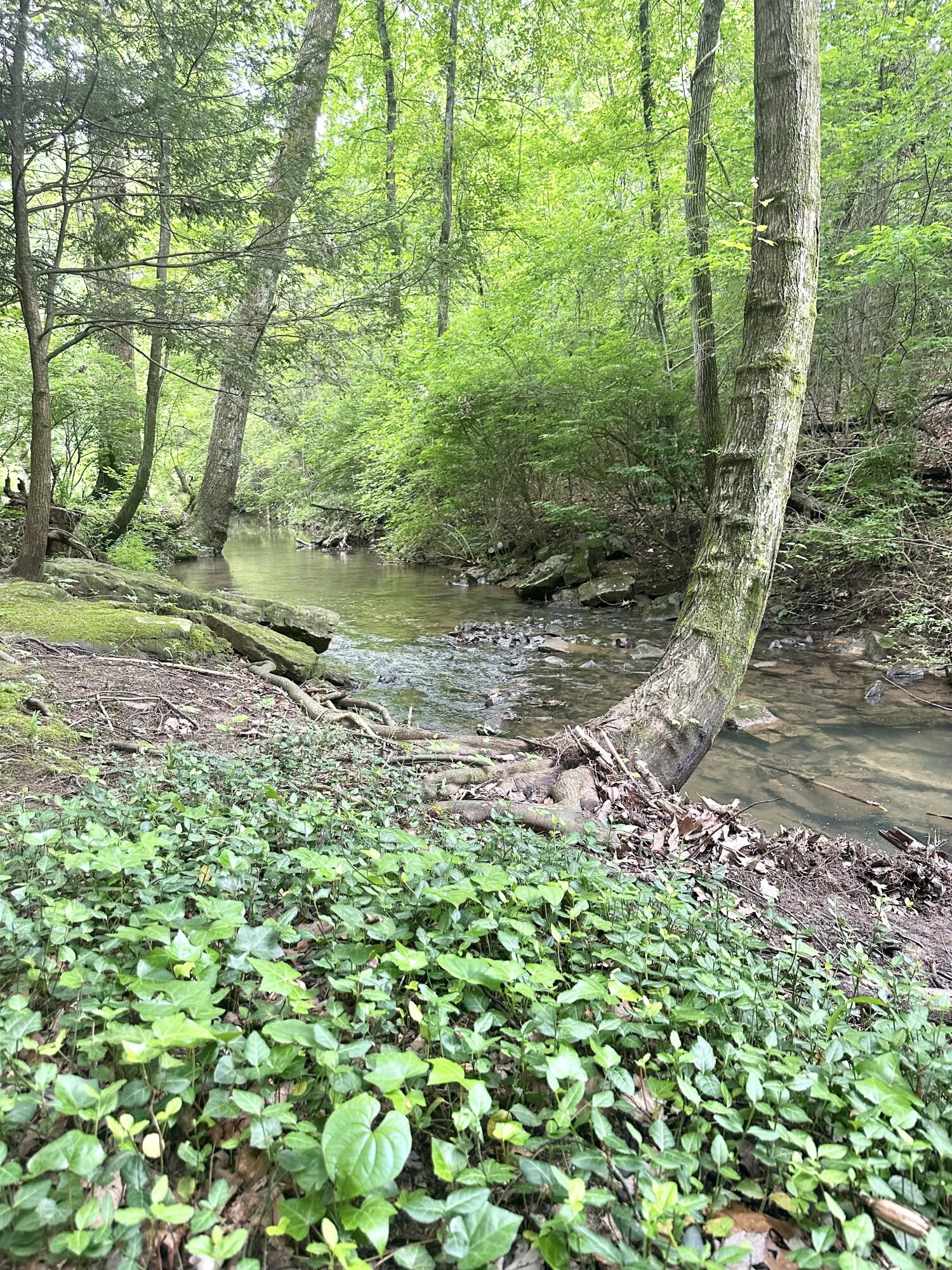 413 Fern Trail, Signal Mountain, Tennessee image 2