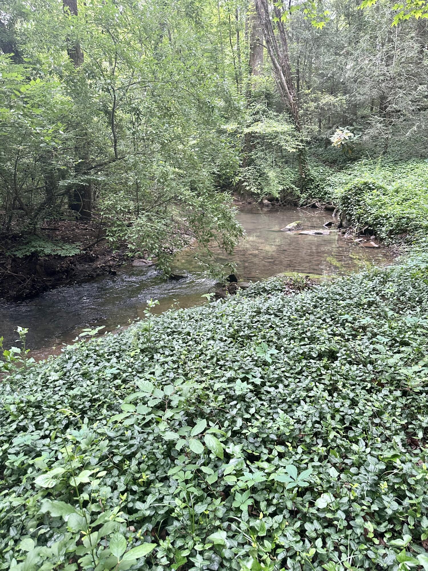413 Fern Trail, Signal Mountain, Tennessee image 3