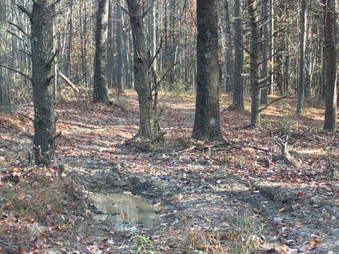 Photo of 360 Bootleg Bend, Guild, TN 37340 (MLS # 1533434)