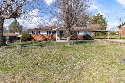 Tiny photo for 614 Elizabeth Street, Athens, TN 37303 (MLS # 1530054)