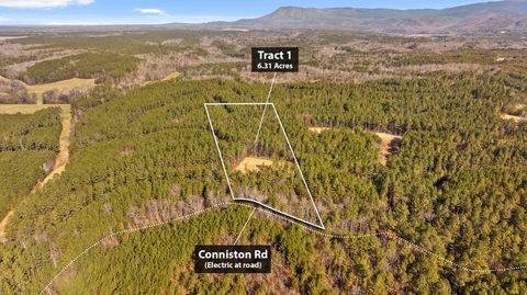 Photo of Tract 1 Conniston Road, Chatsworth, GA 30705 (MLS # 1528007)