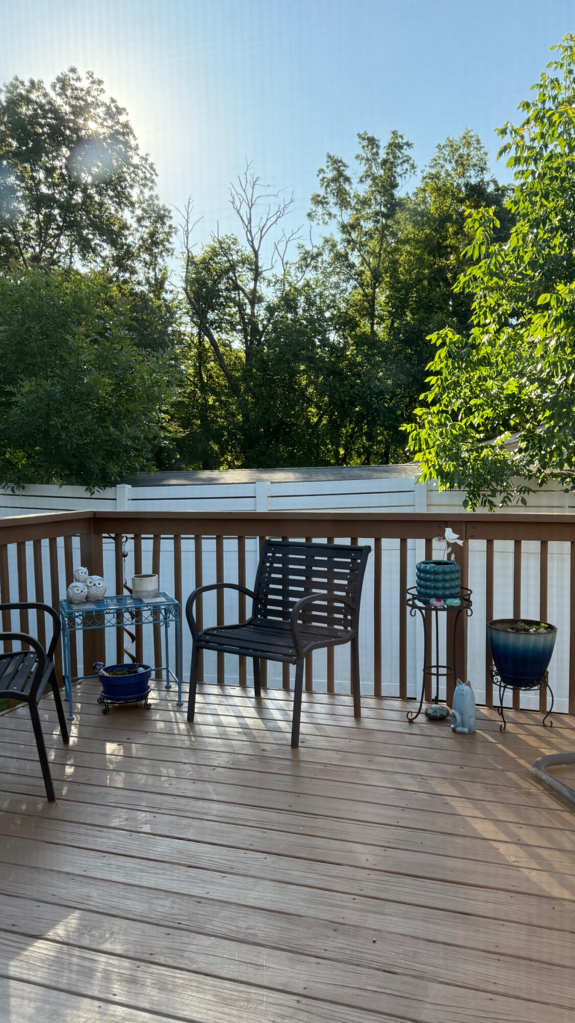 1008 Grey Oaks Lane, Chattanooga, Tennessee image 25