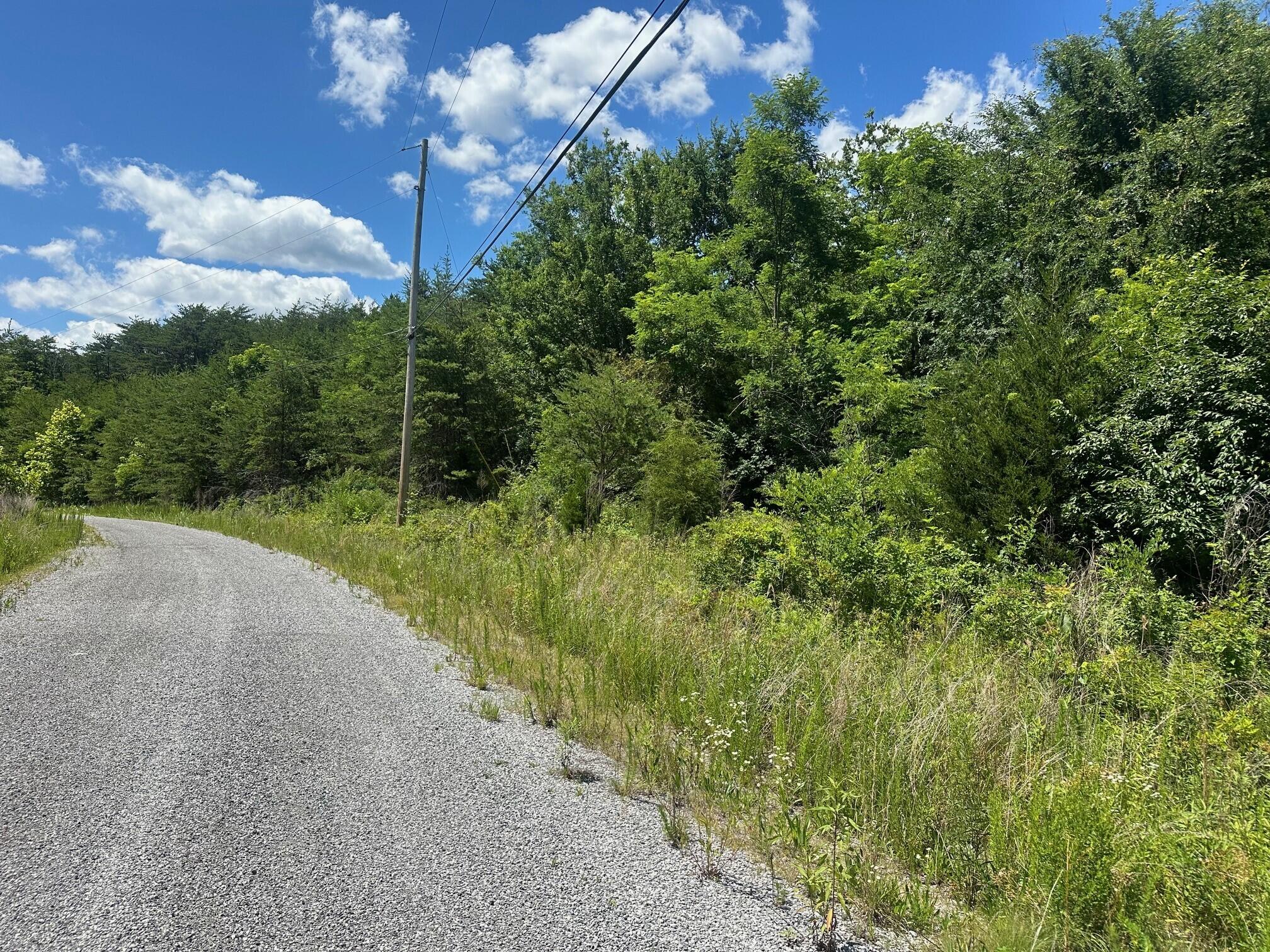 Lot 170 Teludachee Trail #170, South Pittsburg, Tennessee image 3
