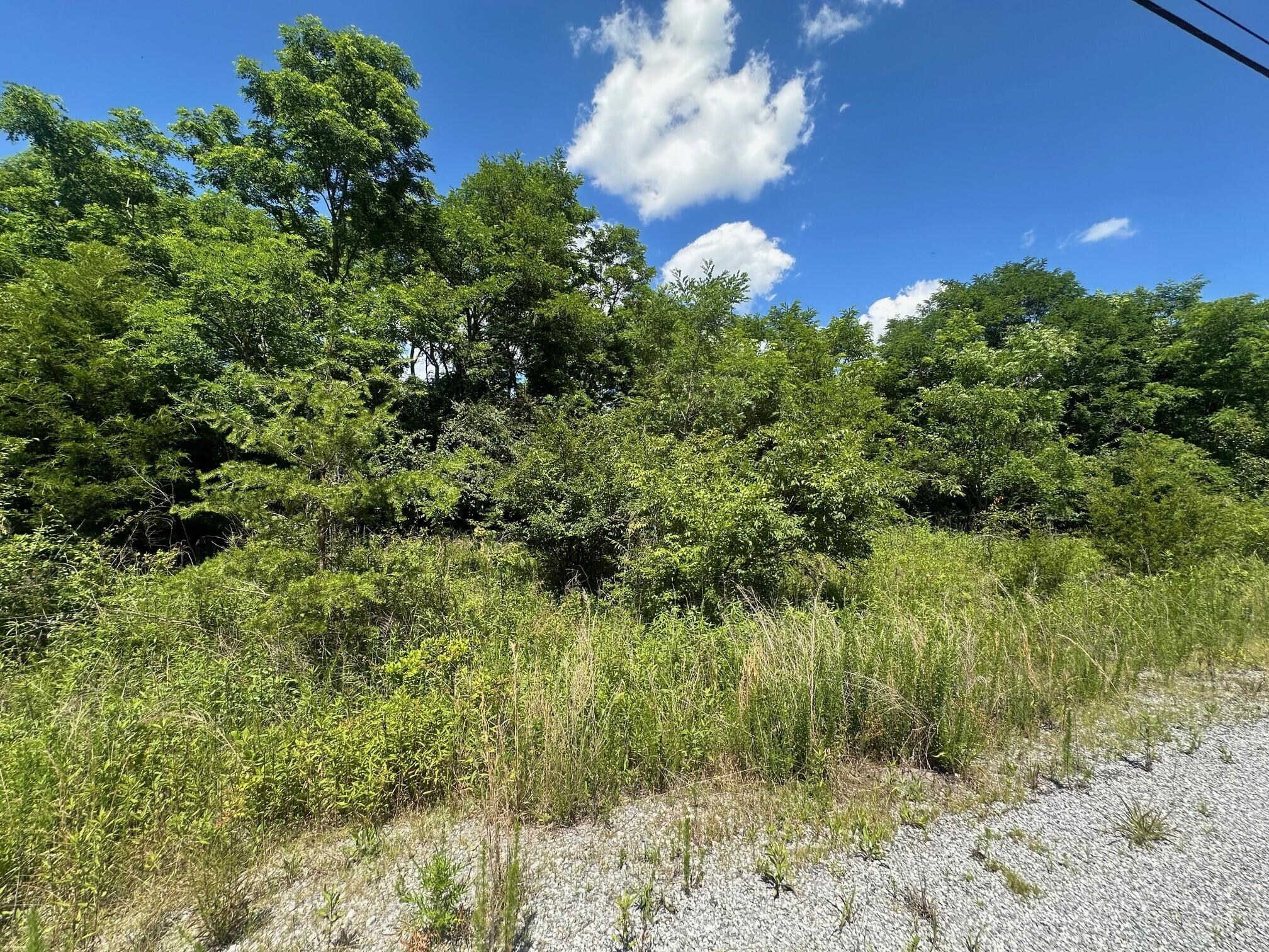 Lot 170 Teludachee Trail #170, South Pittsburg, Tennessee image 5