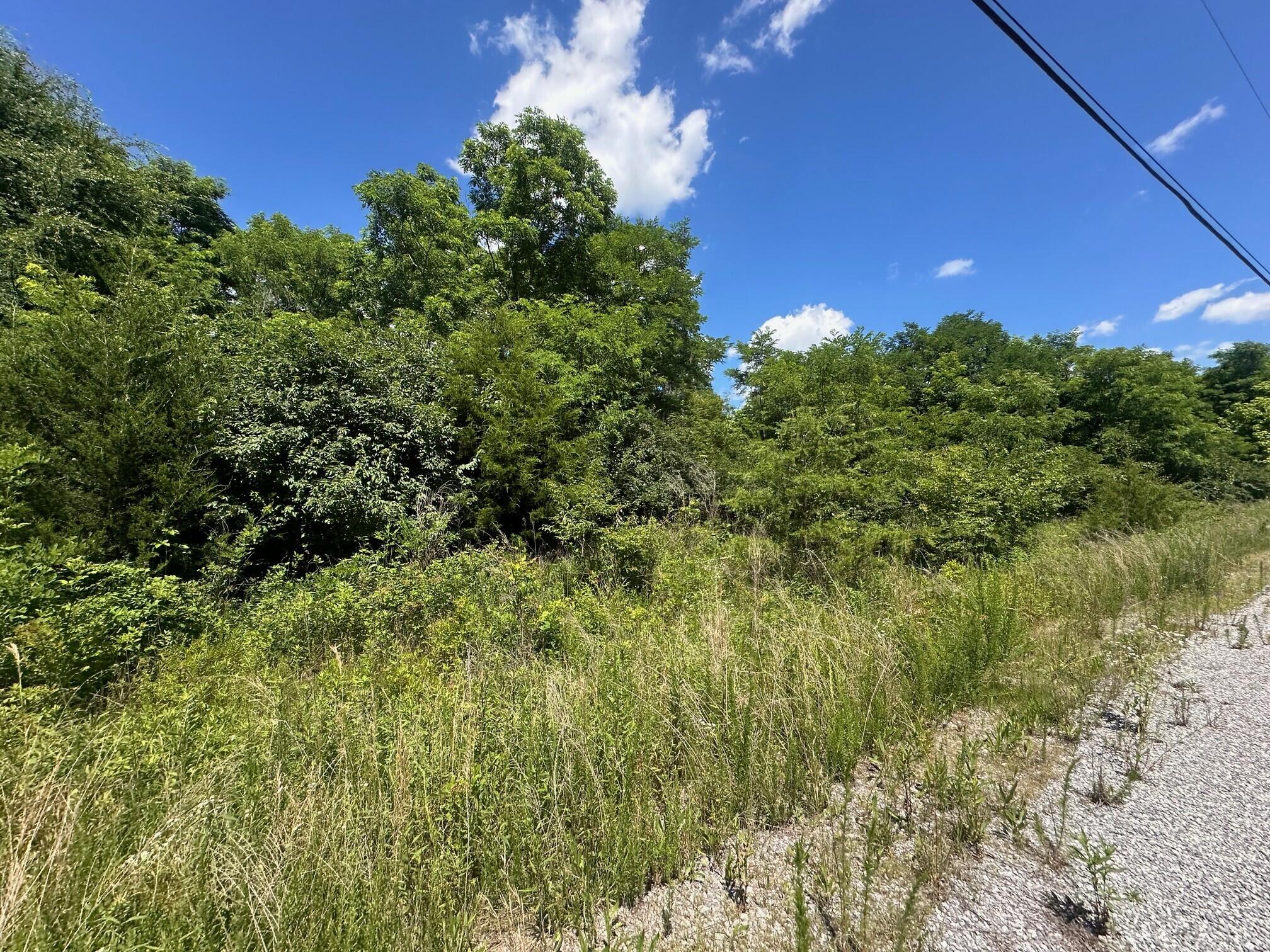 Lot 170 Teludachee Trail #170, South Pittsburg, Tennessee image 2