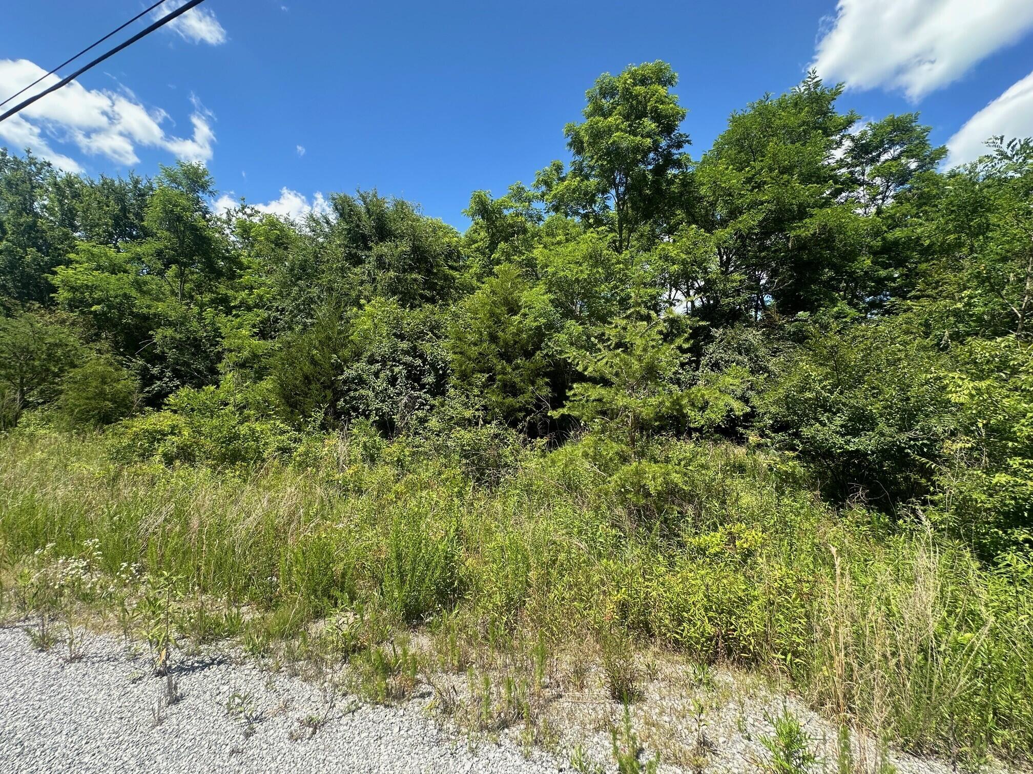 Lot 170 Teludachee Trail #170, South Pittsburg, Tennessee image 4