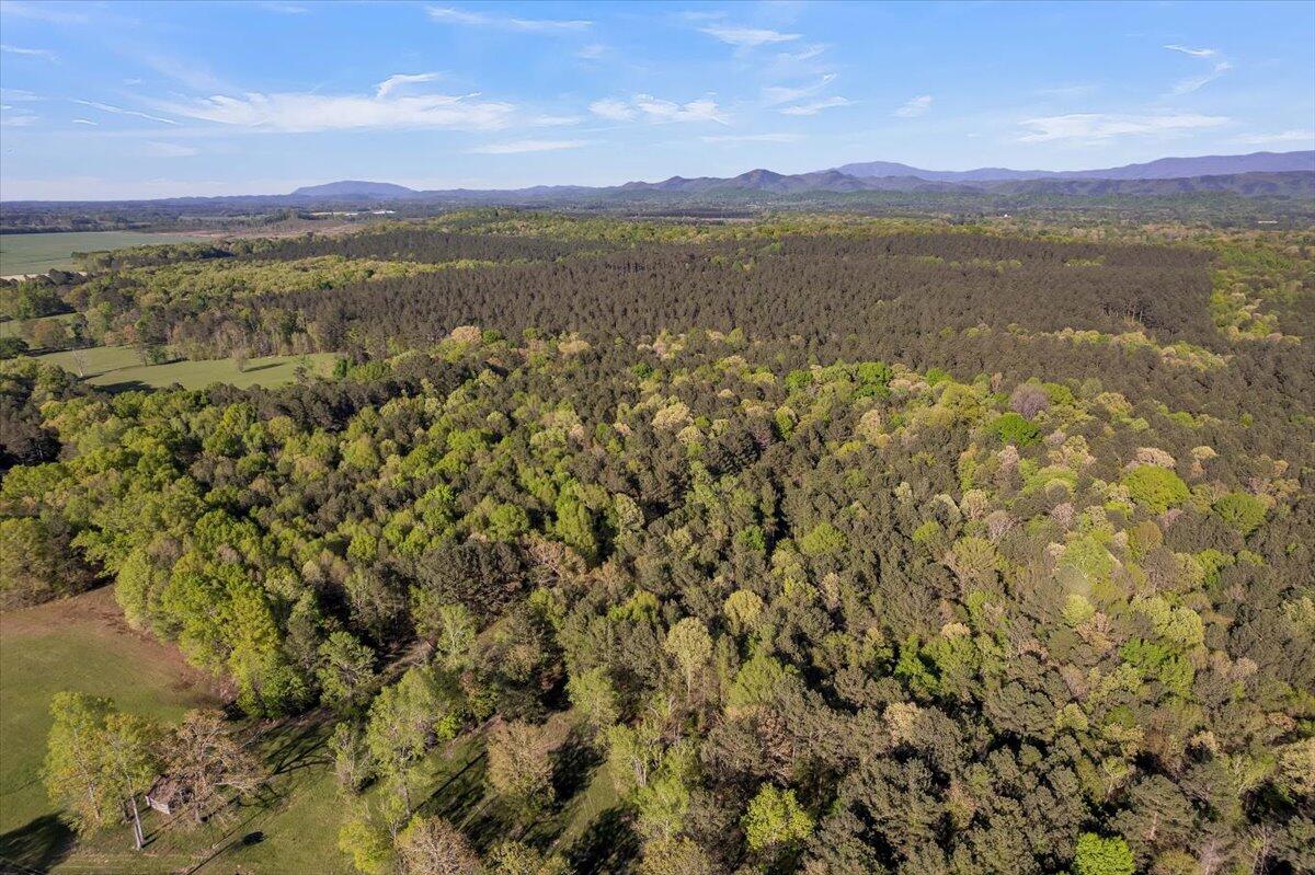 37 Ac Carson Avenue, Crandall, Georgia image 23