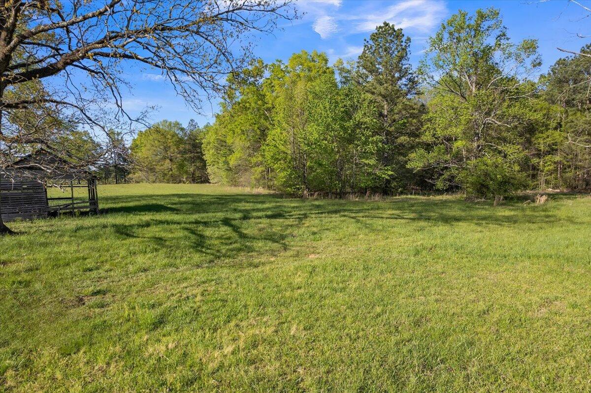 37 Ac Carson Avenue, Crandall, Georgia image 8
