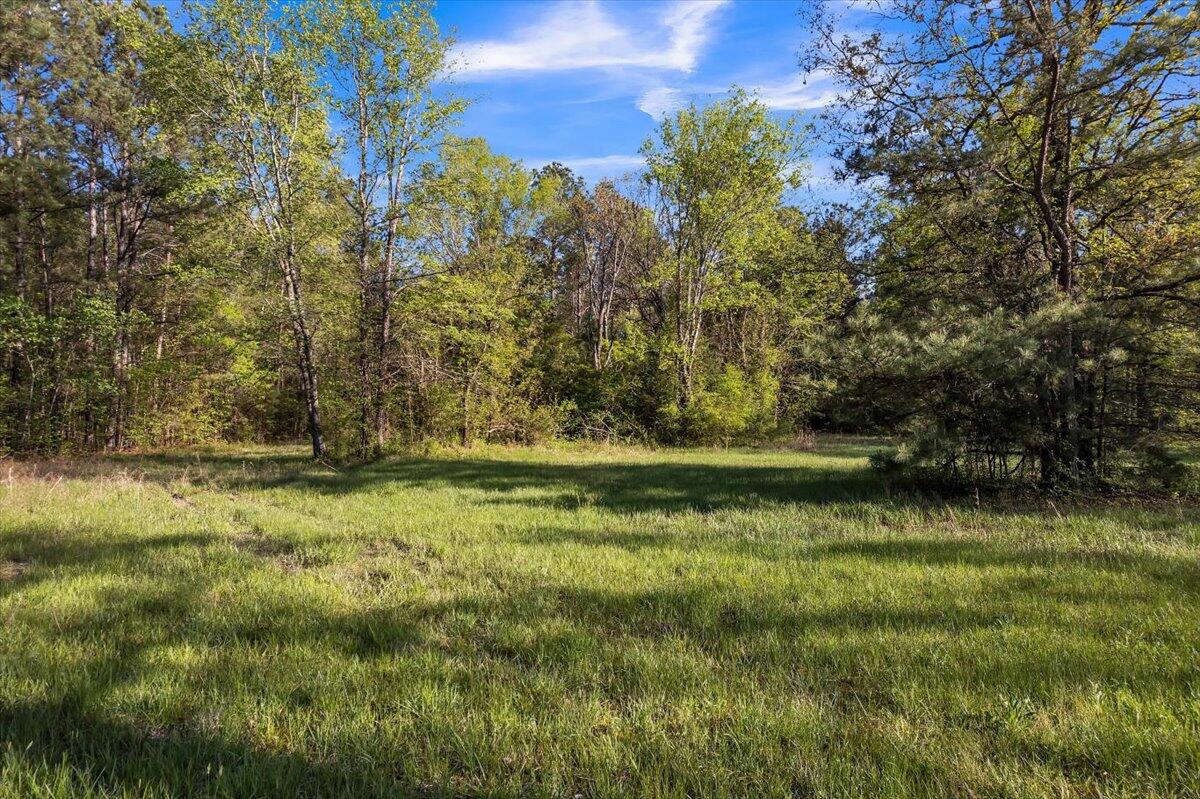37 Ac Carson Avenue, Crandall, Georgia image 17