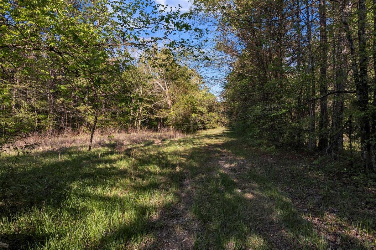 37 Ac Carson Avenue, Crandall, Georgia image 24