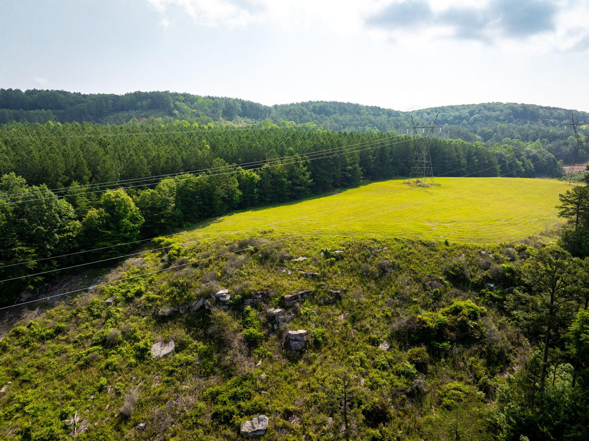 Split Rail Way #,LOT 1193, Guild, Tennessee image 13
