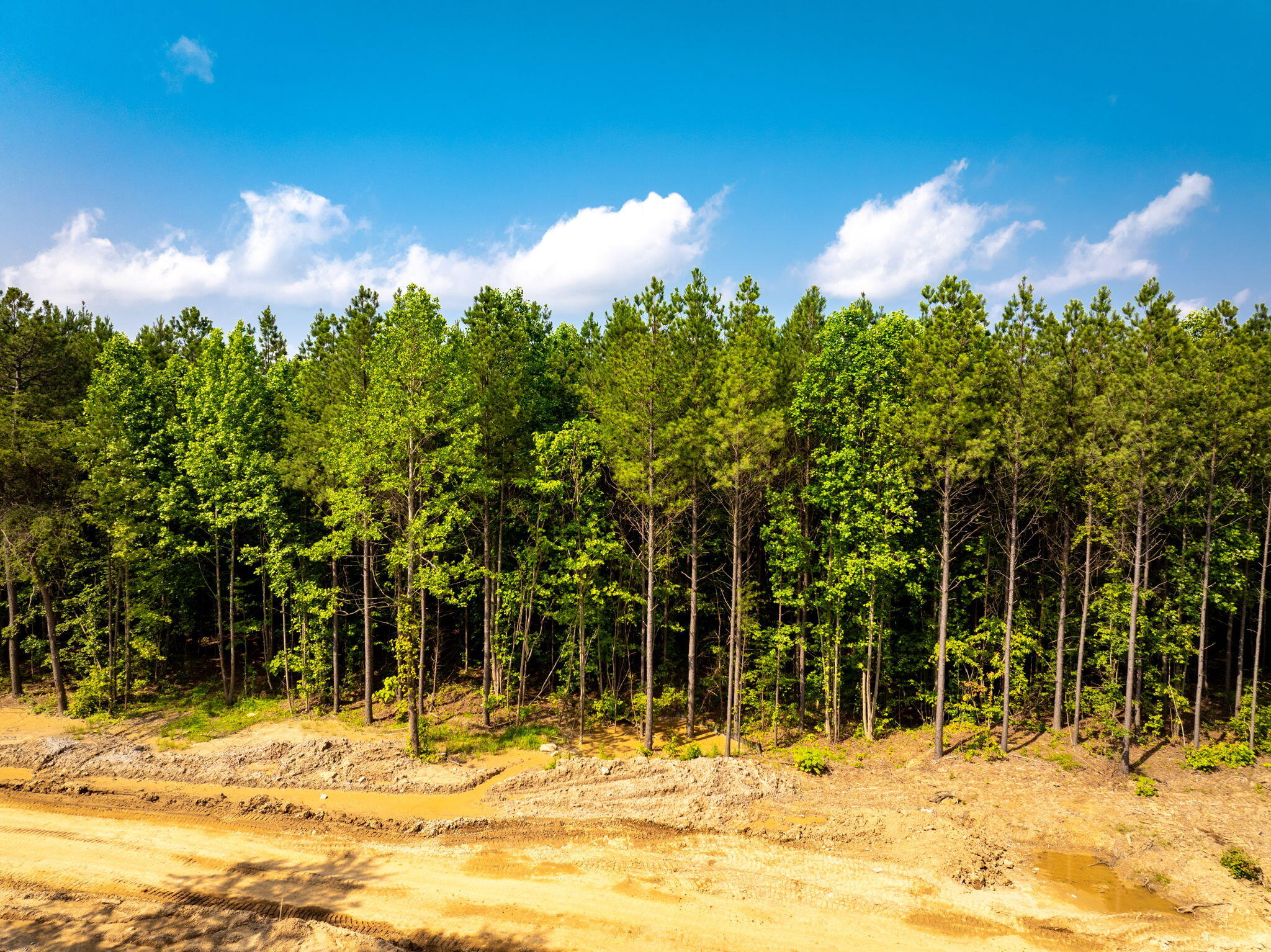 Split Rail Way #,LOT 1193, Guild, Tennessee image 17