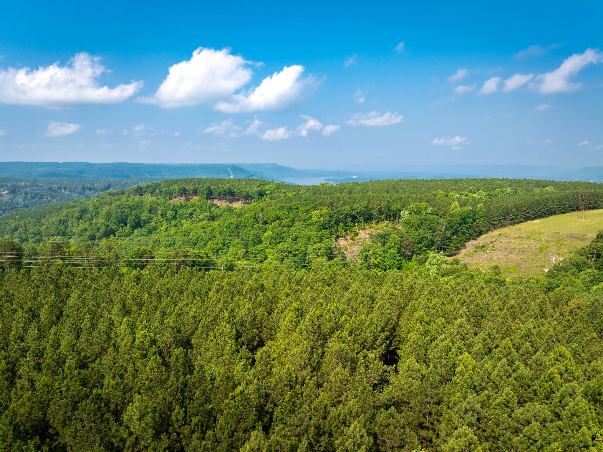 Split Rail Way #,LOT 1193, Guild, Tennessee image 11