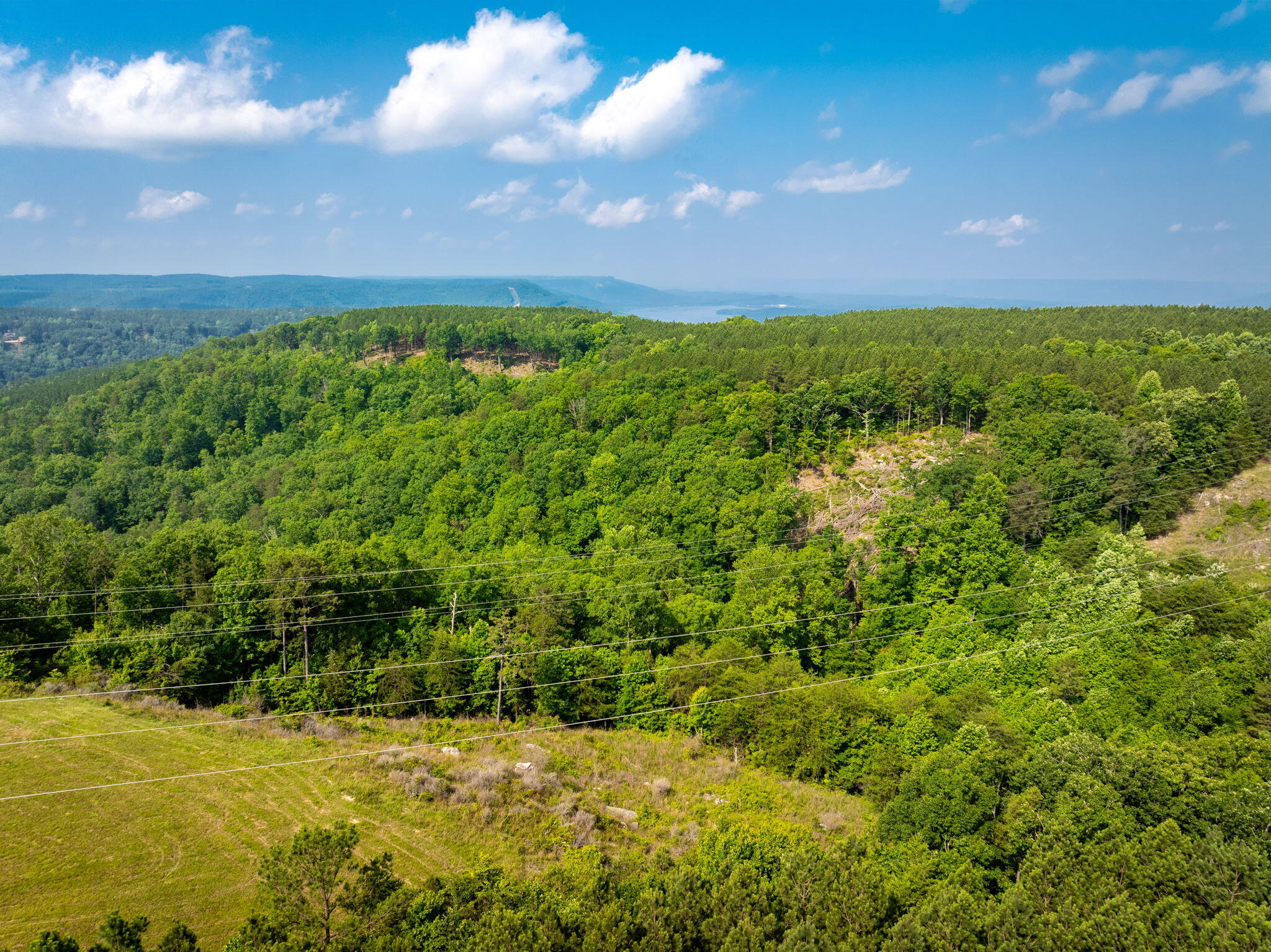 Split Rail Way #,LOT 1193, Guild, Tennessee image 12