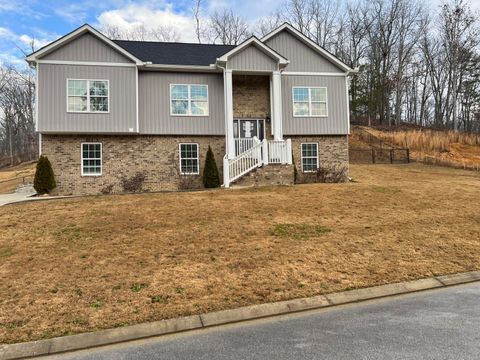 Photo of 6537 Long Horn Street, Birchwood, TN 37308 (MLS # 1527415)