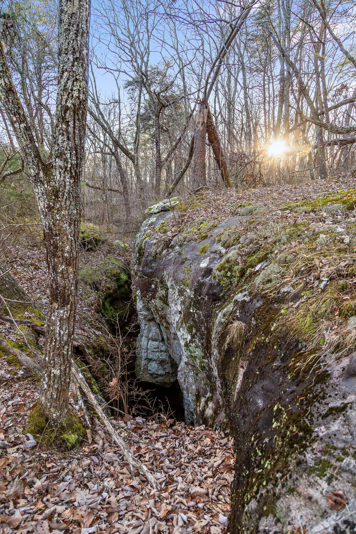 Brockdell Road, Pikeville, Tennessee image 21