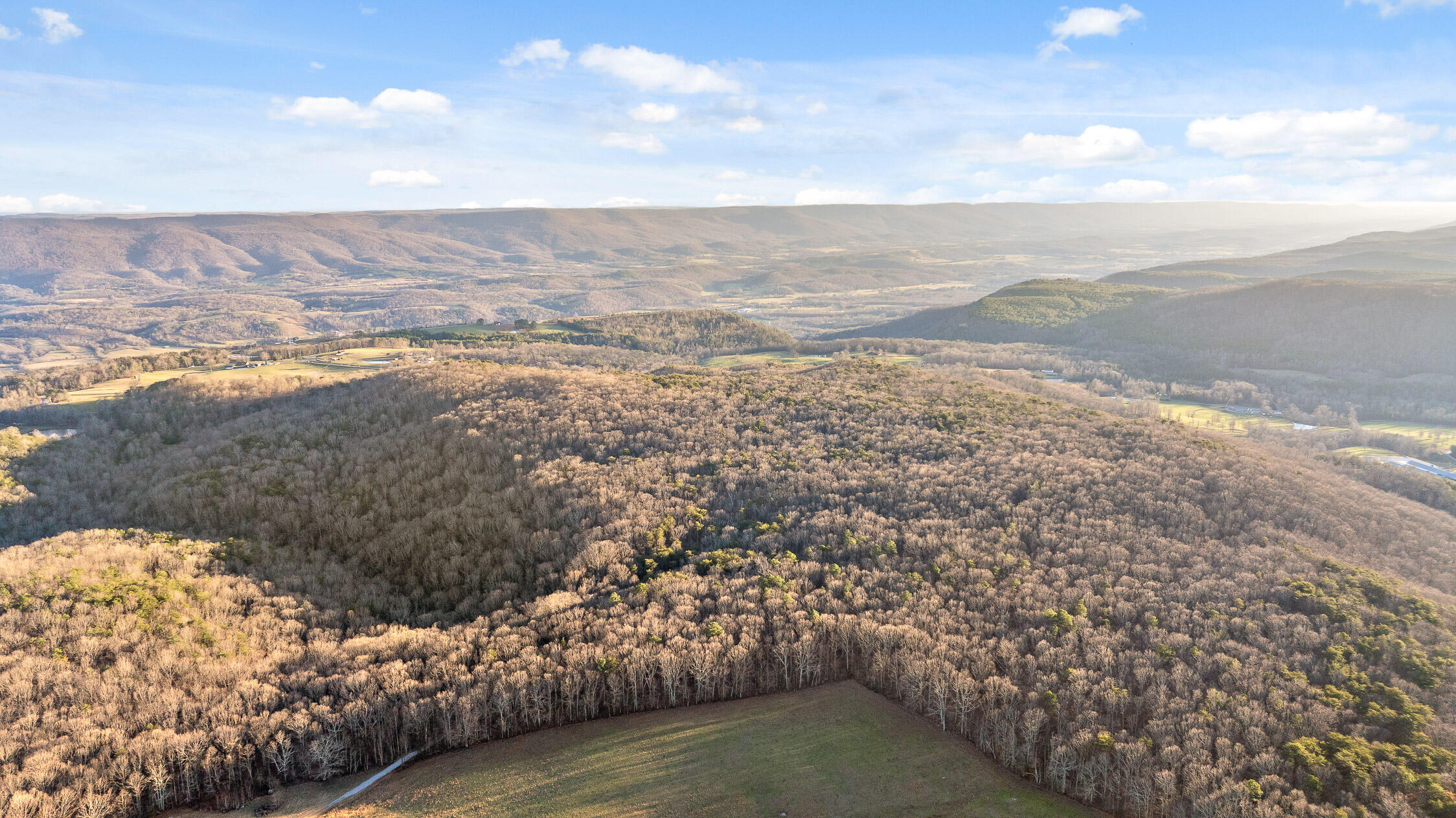 Brockdell Road, Pikeville, Tennessee image 2