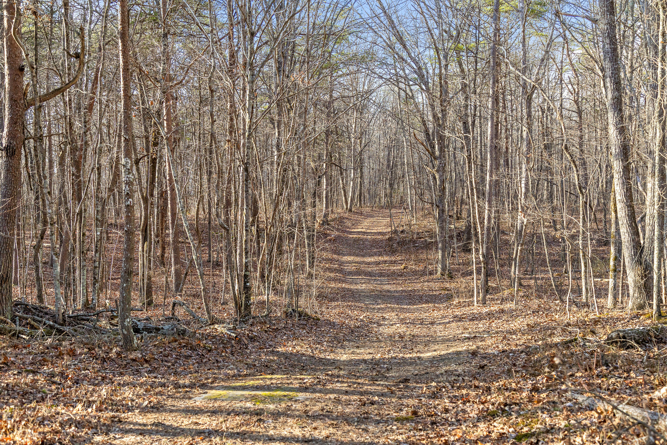 Brockdell Road, Pikeville, Tennessee image 50