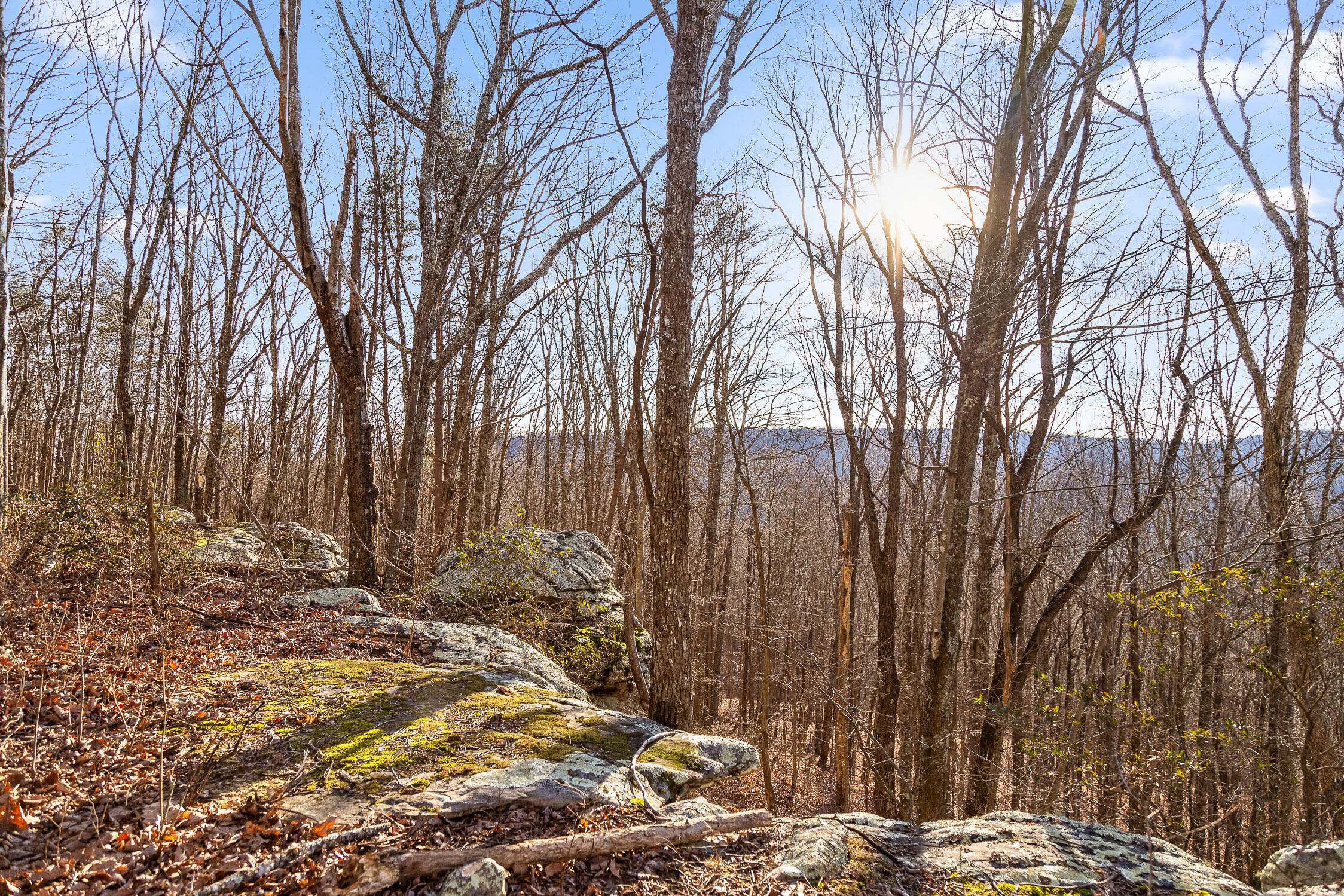 Brockdell Road, Pikeville, Tennessee image 3