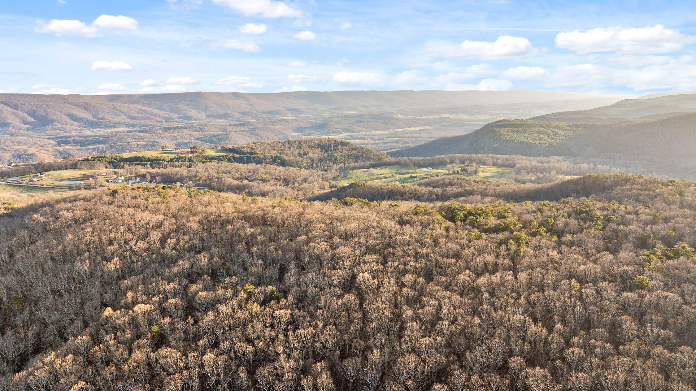 Brockdell Road, Pikeville, Tennessee image 25